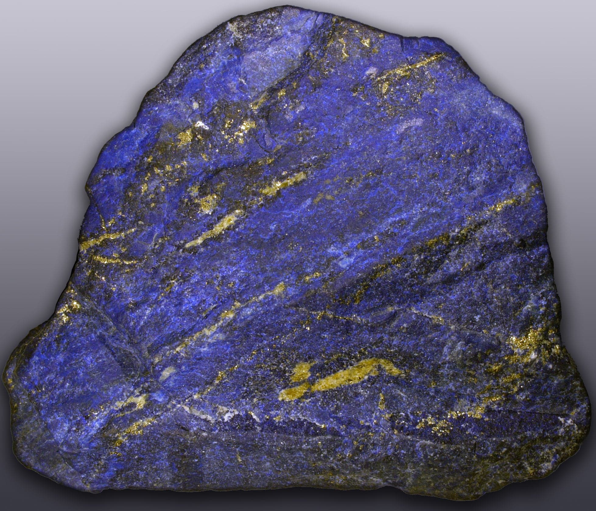 Chunks of deep-blue lapis lazuli with golden flecks of pyrite sitting on a white surface