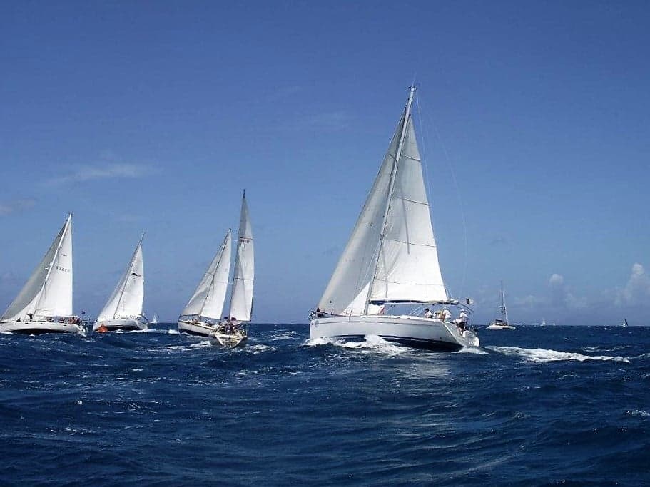 Dozens of sailing yachts racing on the blue water around Antigua