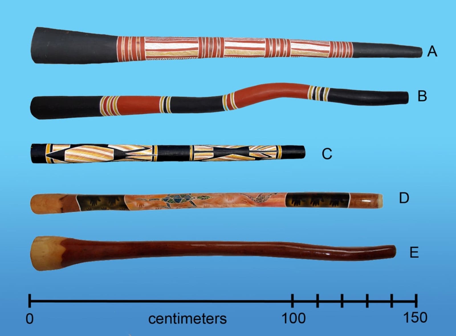 Five painted didgeridoos of different shapes laid out beside a centimetre scale