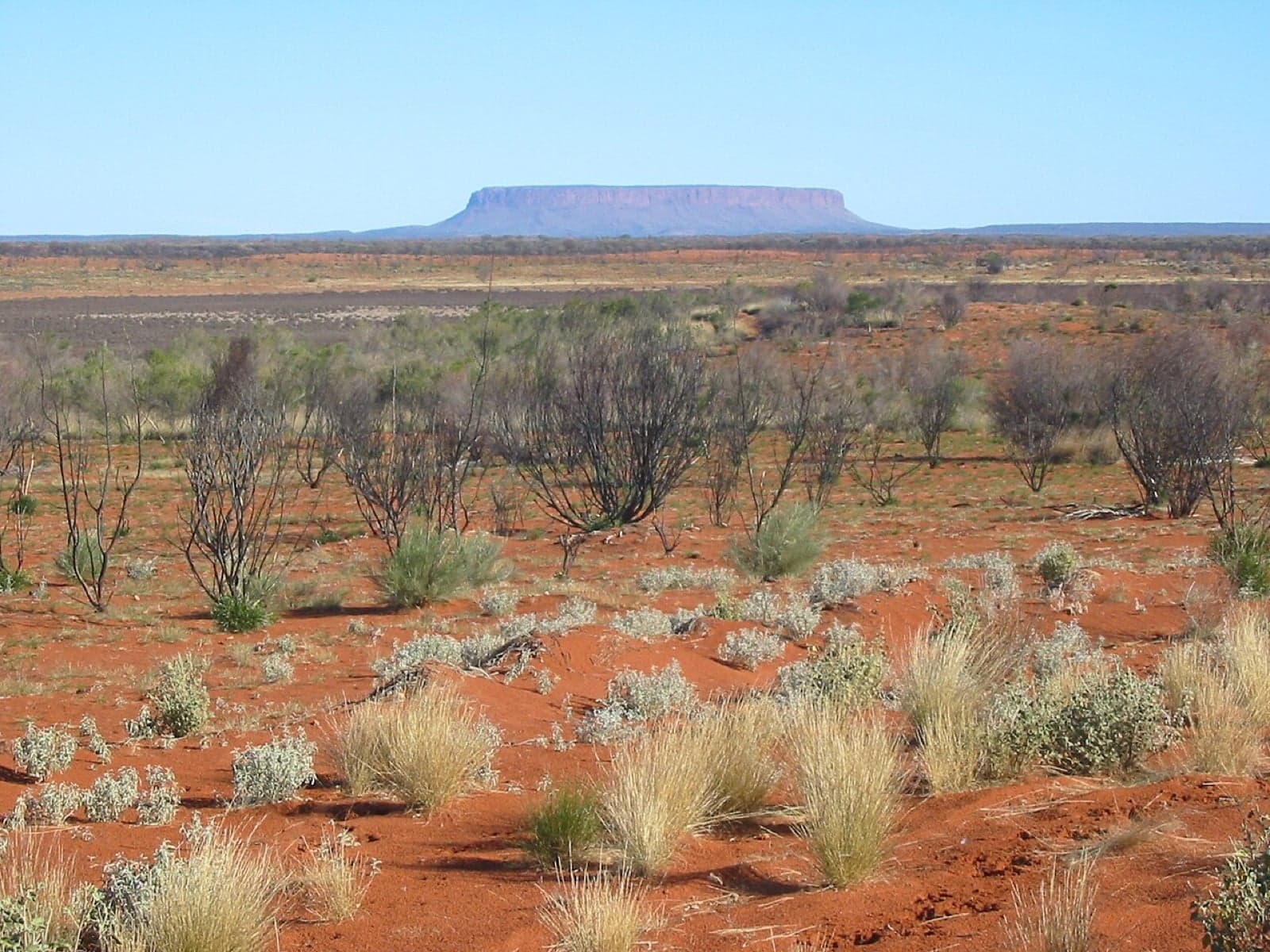 A flat-topped mountain rising out of the red Australian Outback