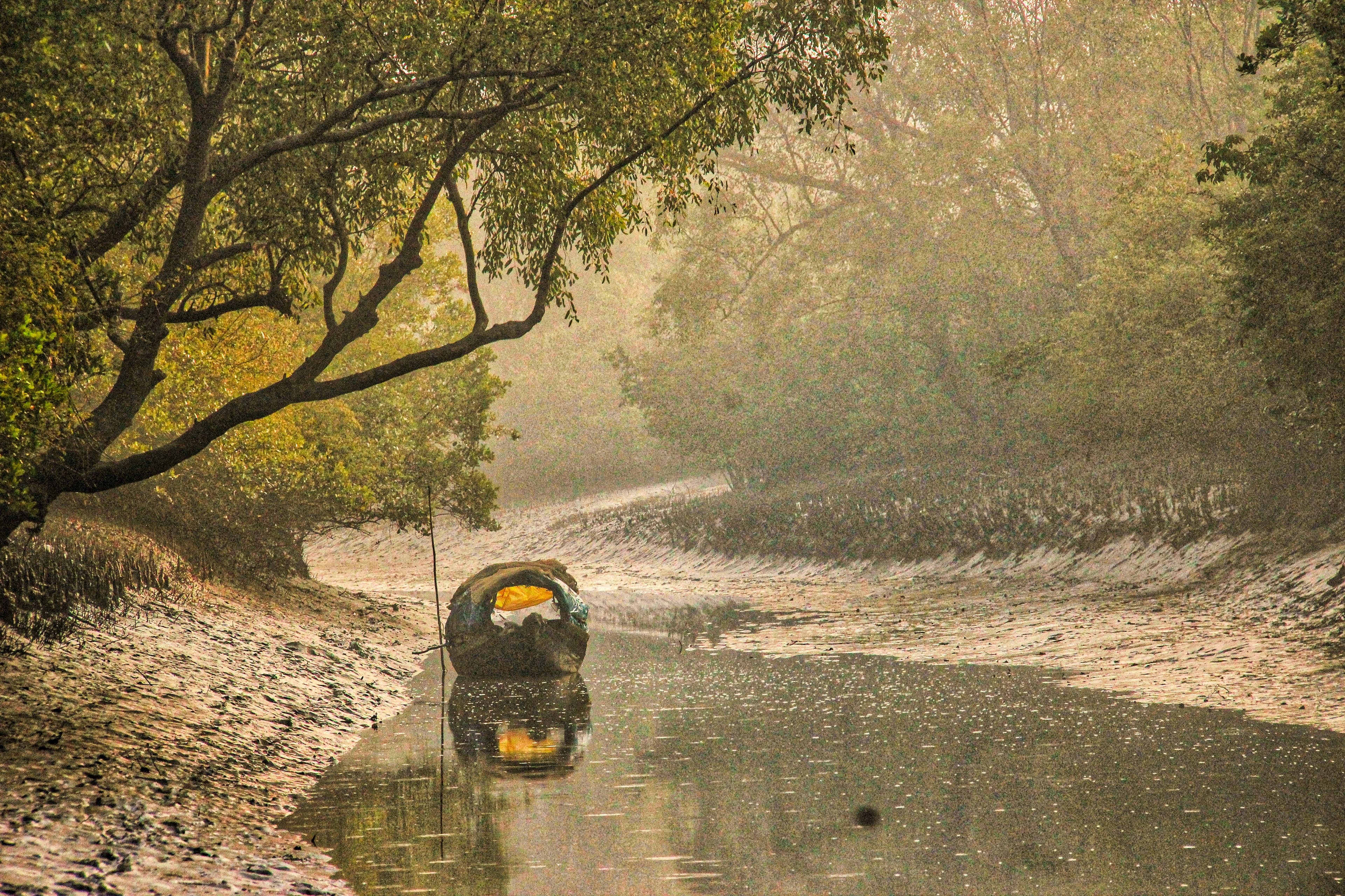 A small boat drifting through the misty waterways of the Sundarbans mangrove forest