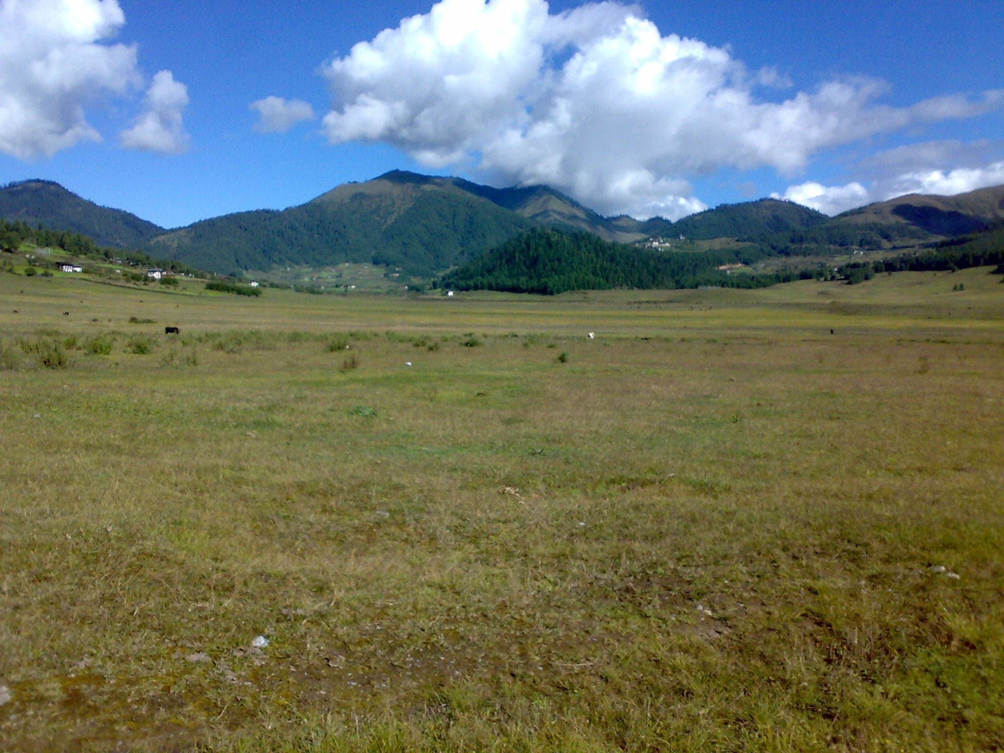 Wide green Phobjikha valley in Bhutan with traditional farmhouses and mountains behind