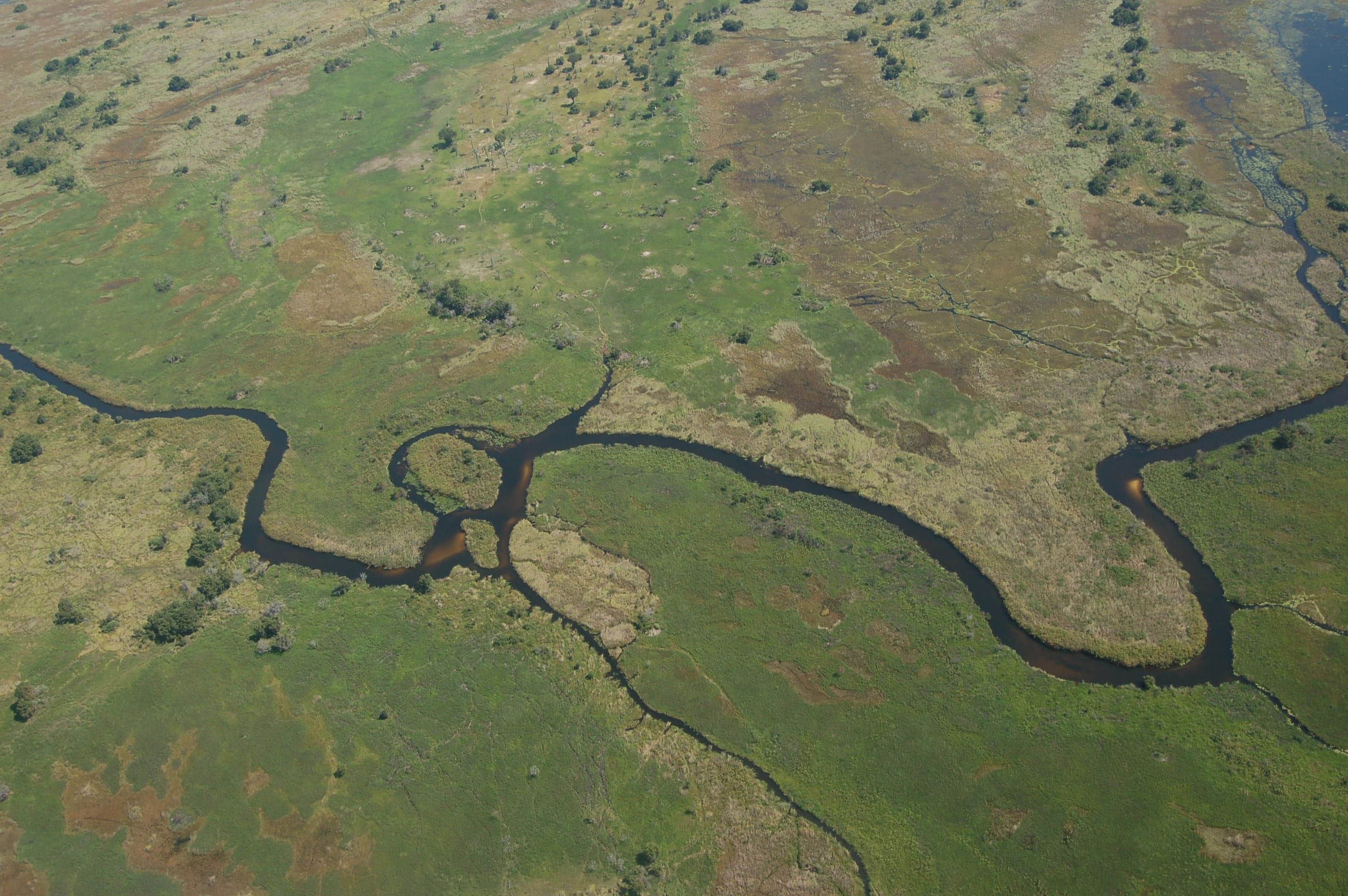 Aerial view of the Okavango Delta showing winding blue channels through green reeds and islands