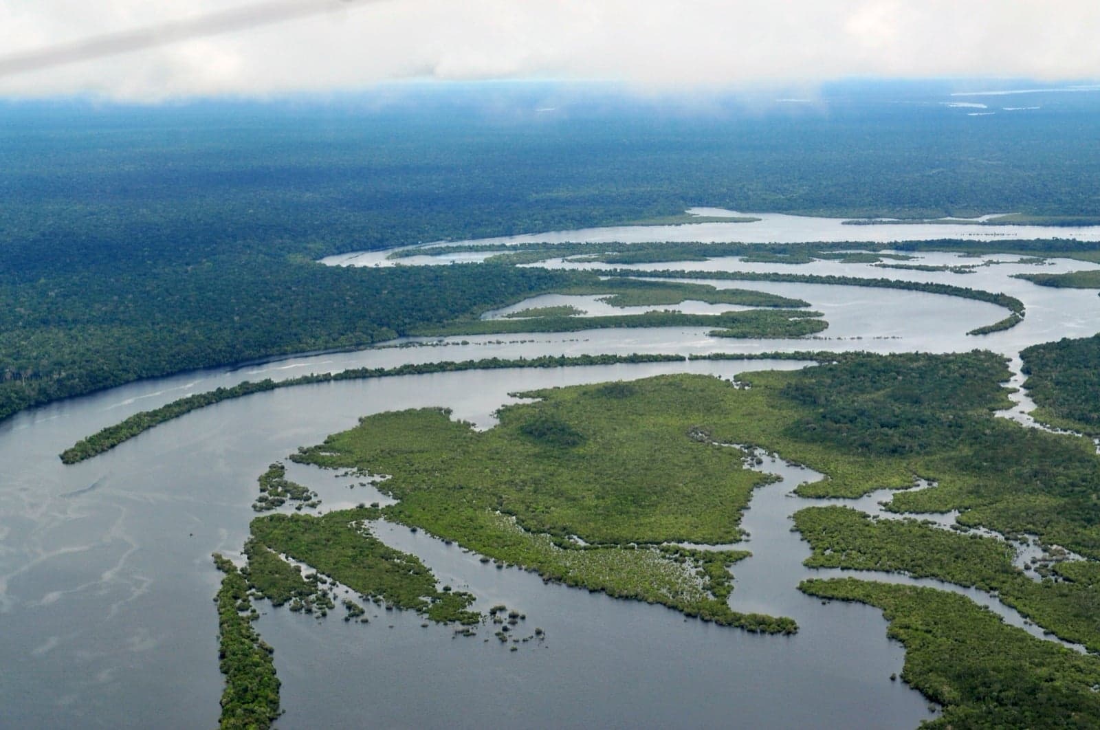An aerial view of the Amazon rainforest and river
