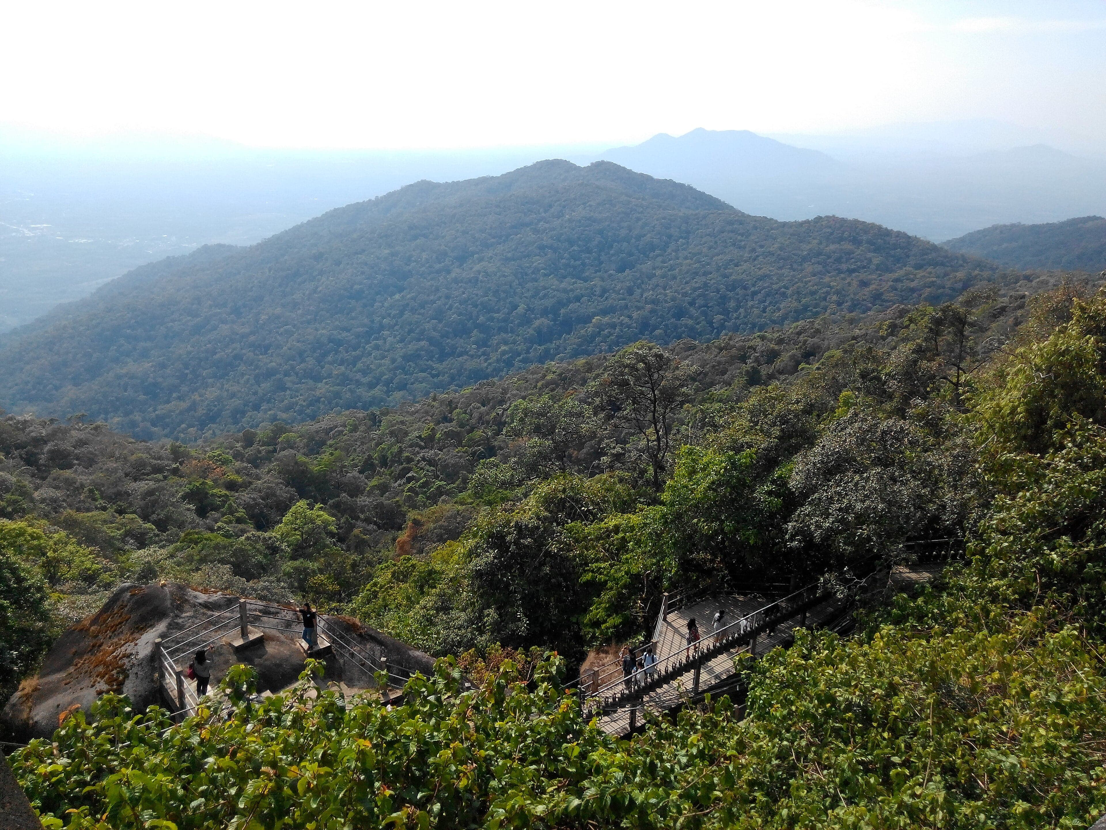 Dense green jungle covering the Cardamom Mountains hills