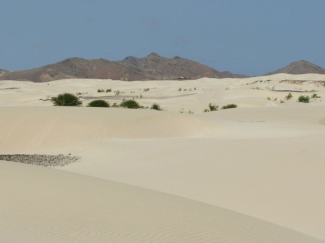 Orange sand dunes curving toward a turquoise ocean under a blue sky
