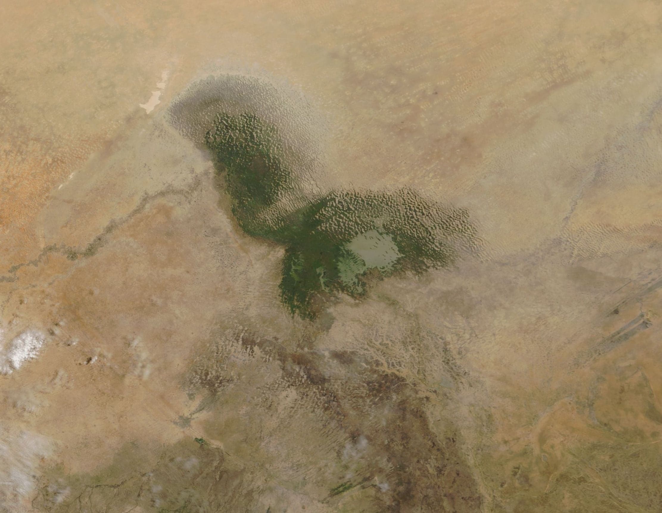 A wide, shimmering view of Lake Chad with water birds wading at the edge