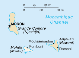 Clear turquoise water above colourful coral reef with tropical fish near Mohéli island