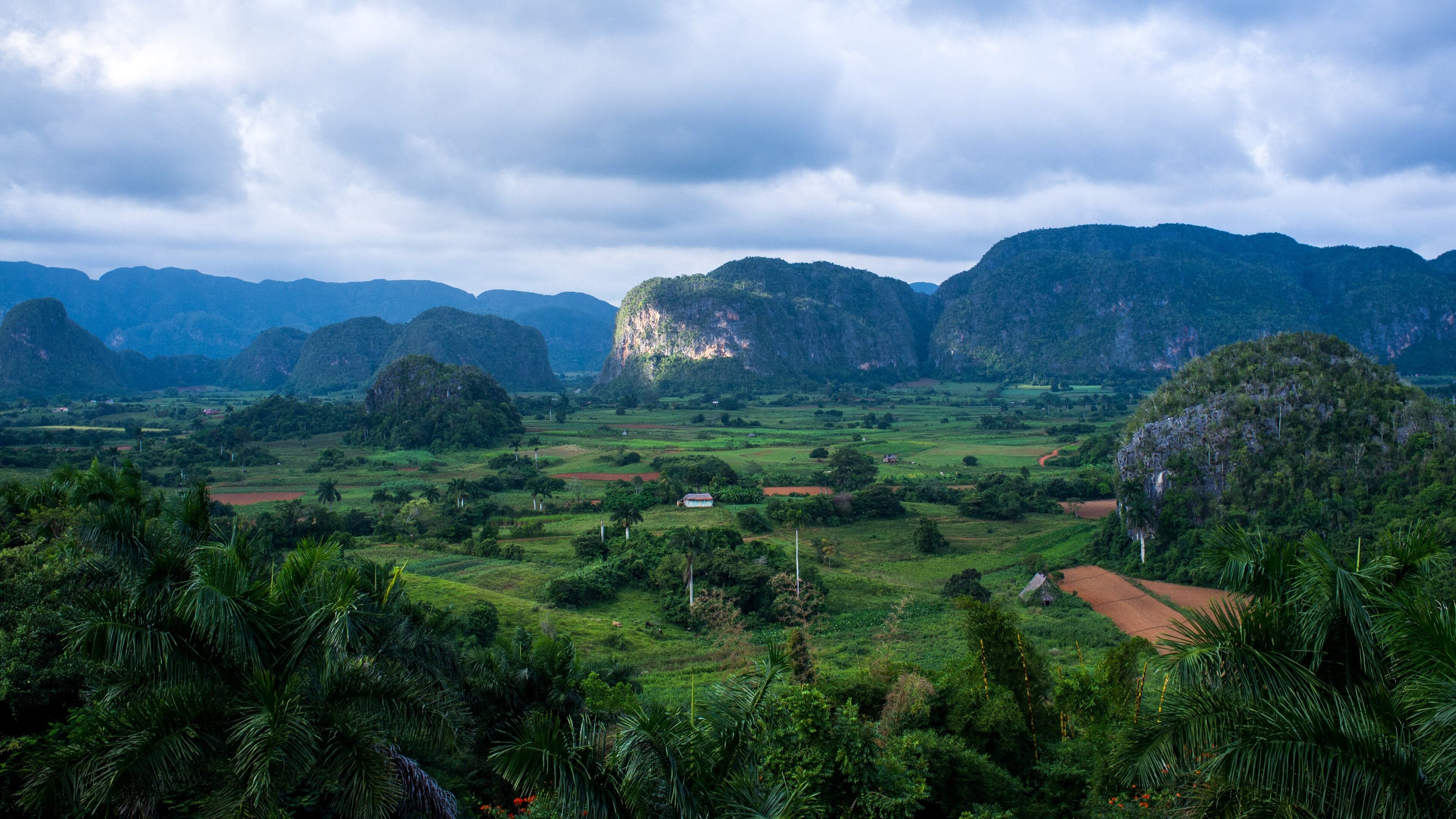 Lush green valley in Viñales with dramatic rounded limestone mogote hills in the background