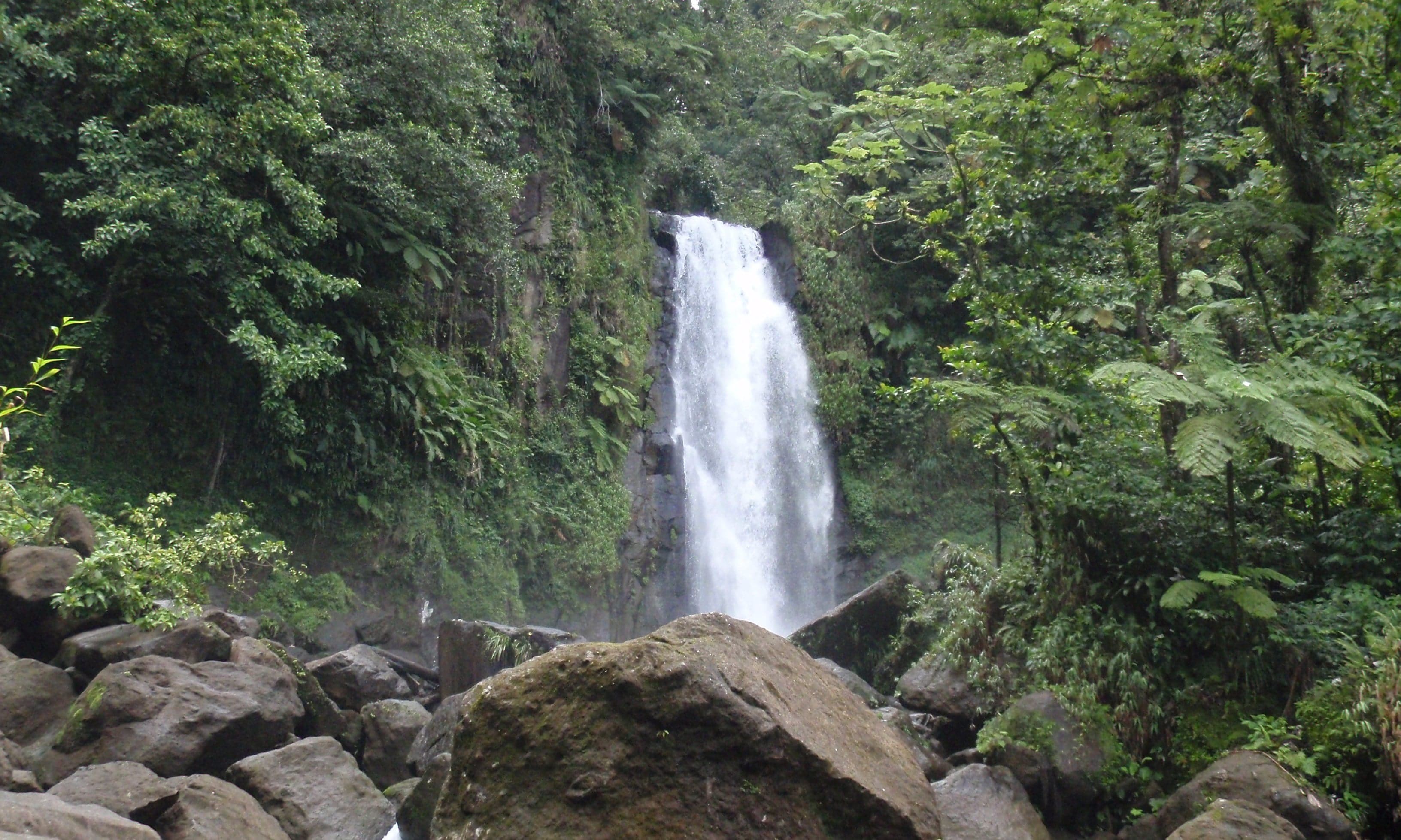 Two waterfalls side by side at Trafalgar Falls, Dominica, surrounded by lush green vegetation