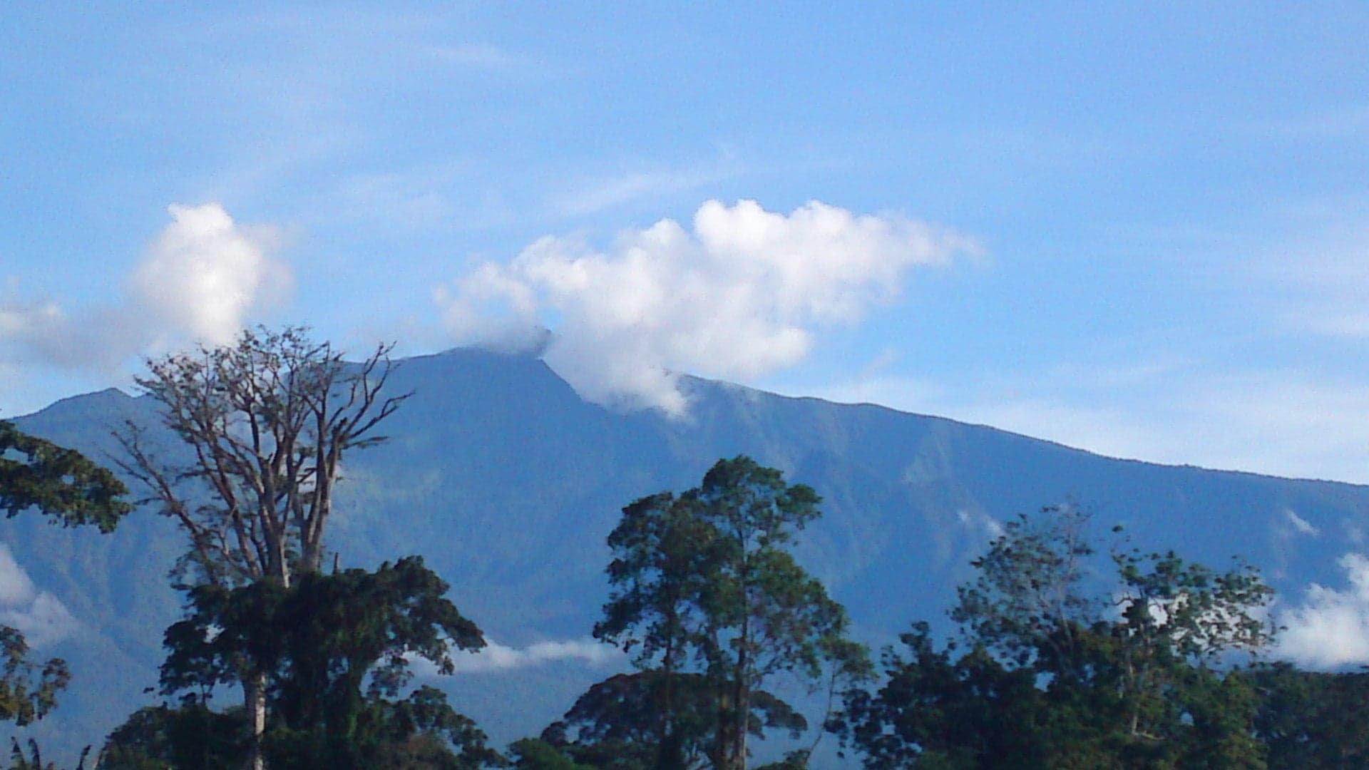 The misty forested slopes of Pico Basile volcano on Bioko Island