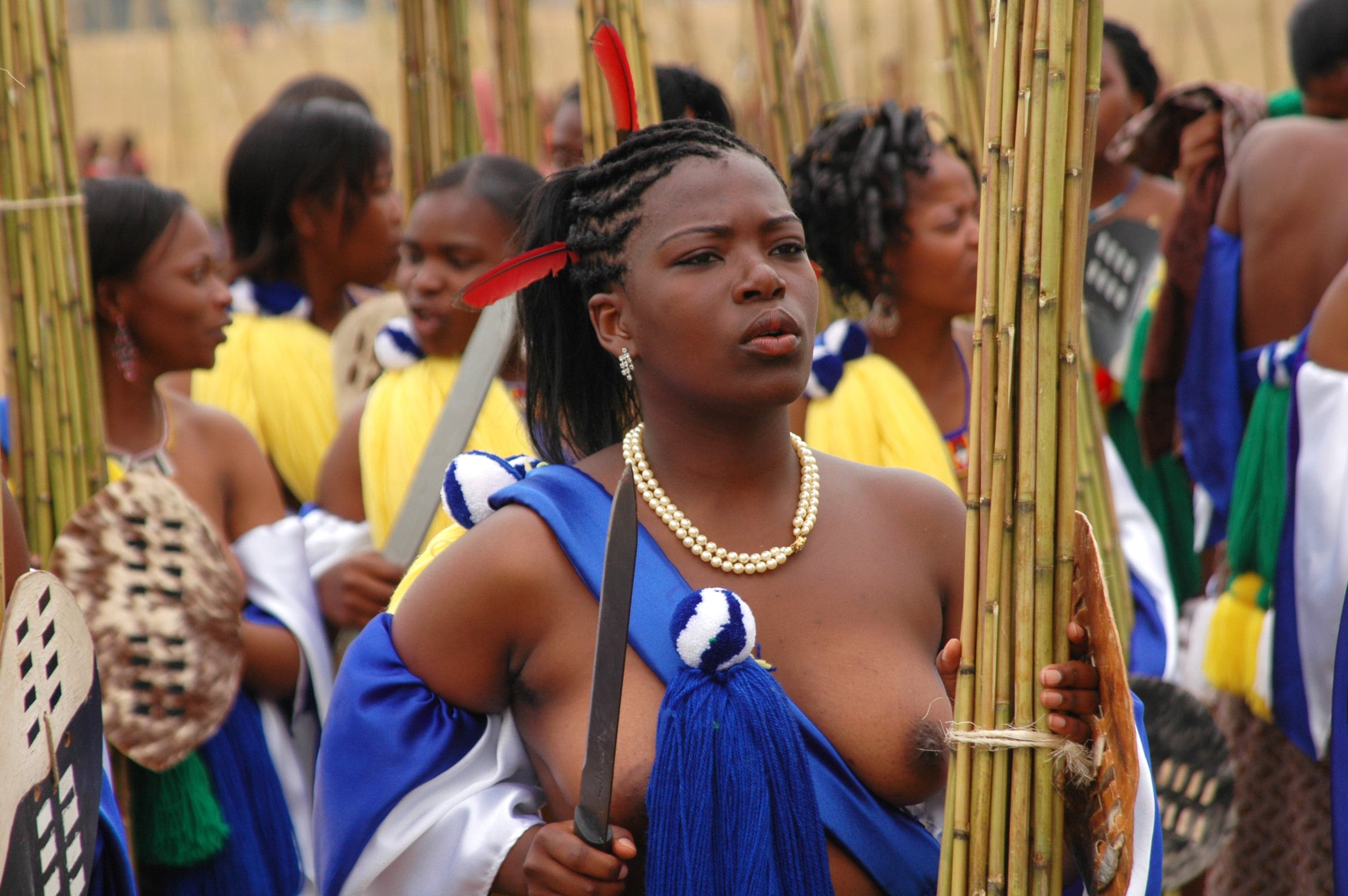 Girls in colourful traditional Swazi dress carrying tall reed stems at the umhlanga ceremony