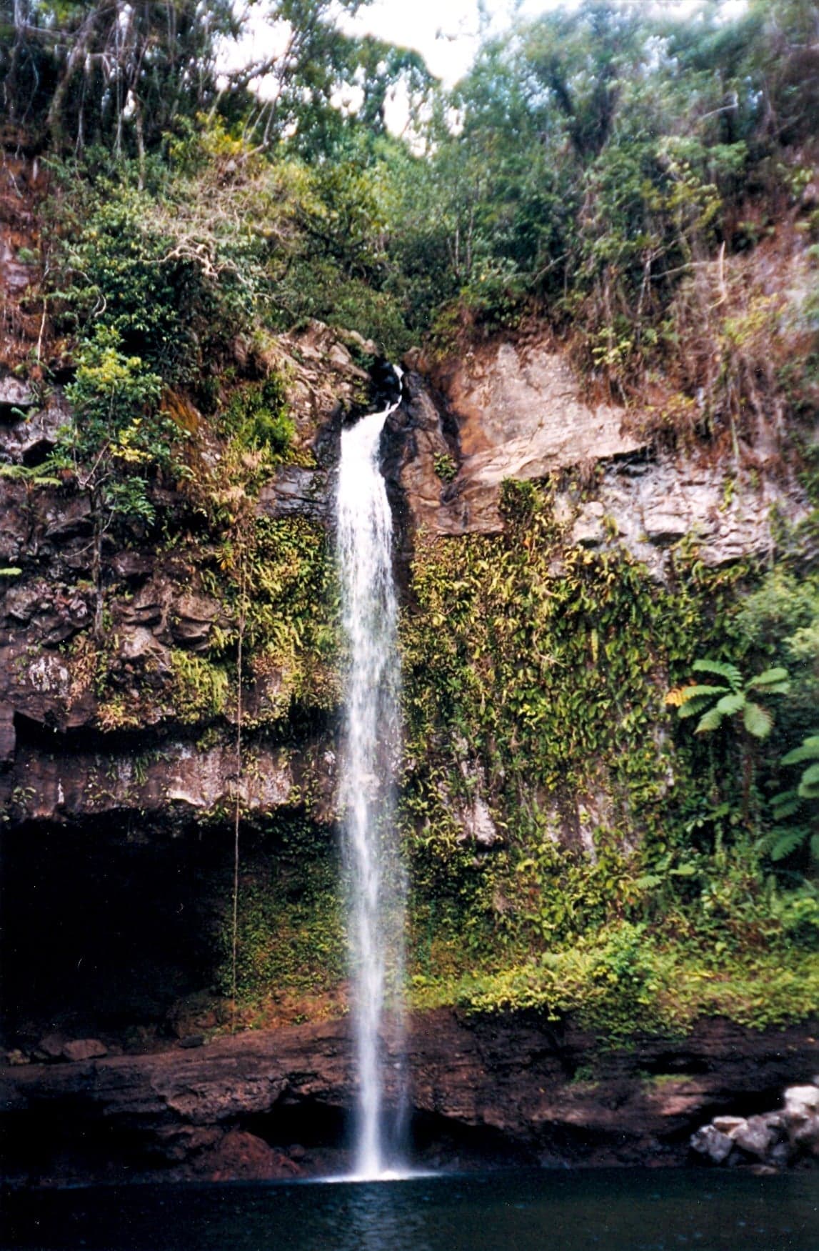A wide waterfall falling into a clear green pool surrounded by rainforest at Bouma, Fiji