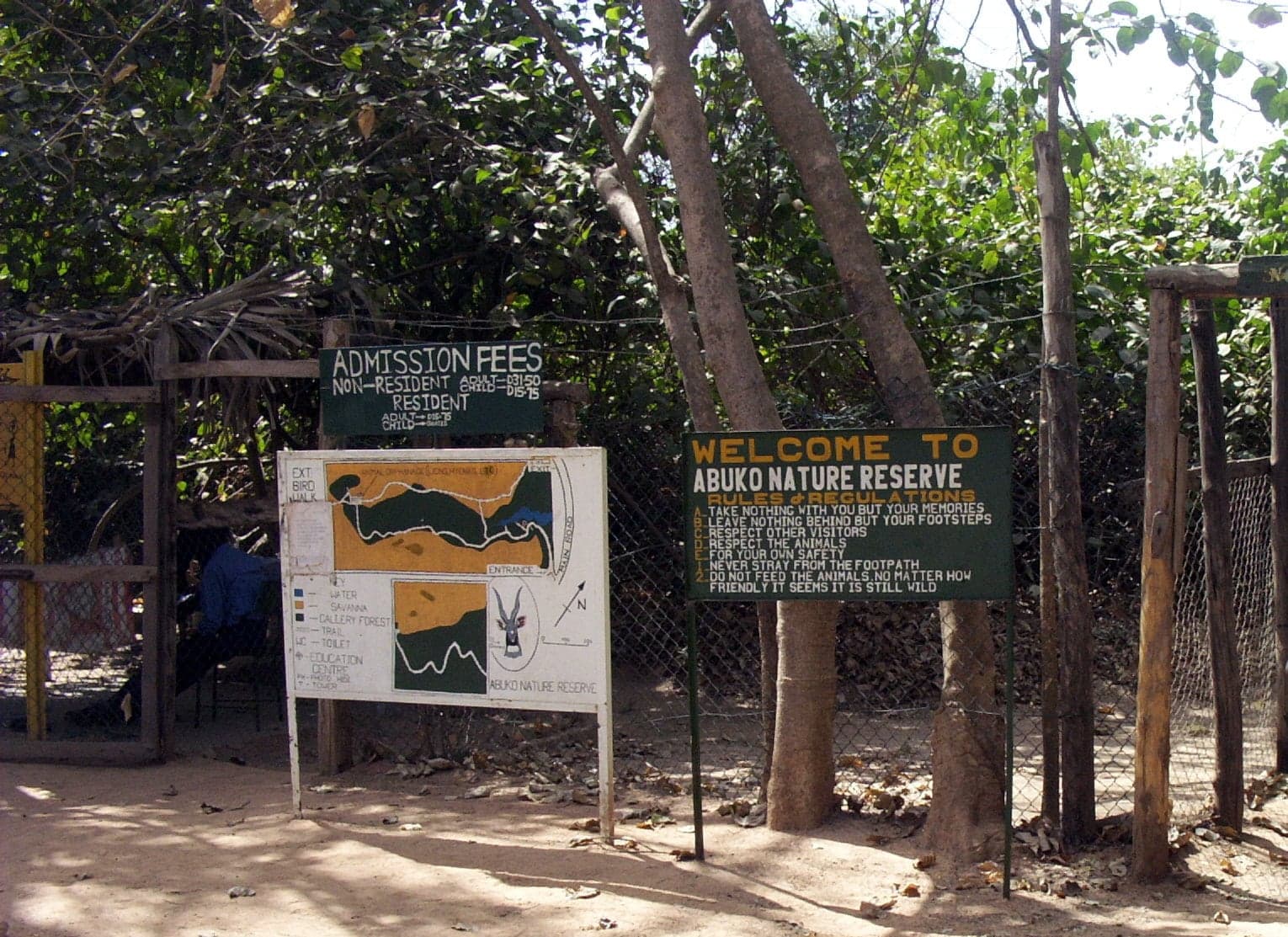 Dense green forest with tall trees and a sunlit path running through Abuko Nature Reserve