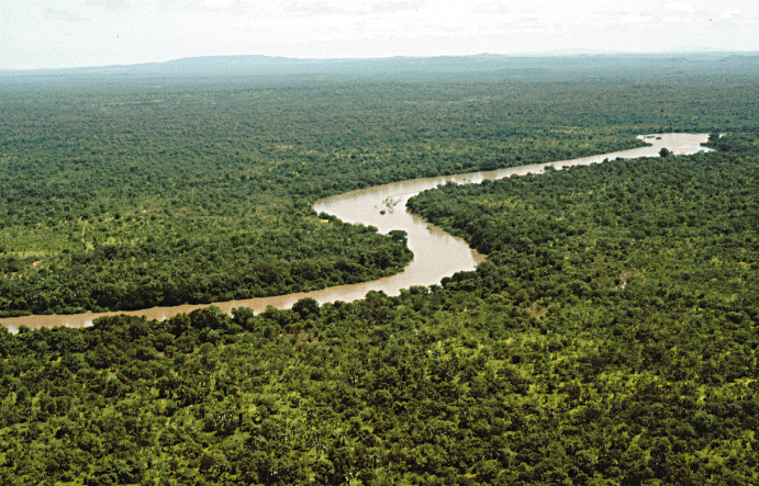 A wide, calm stretch of the Gambia River with green banks and a dugout canoe