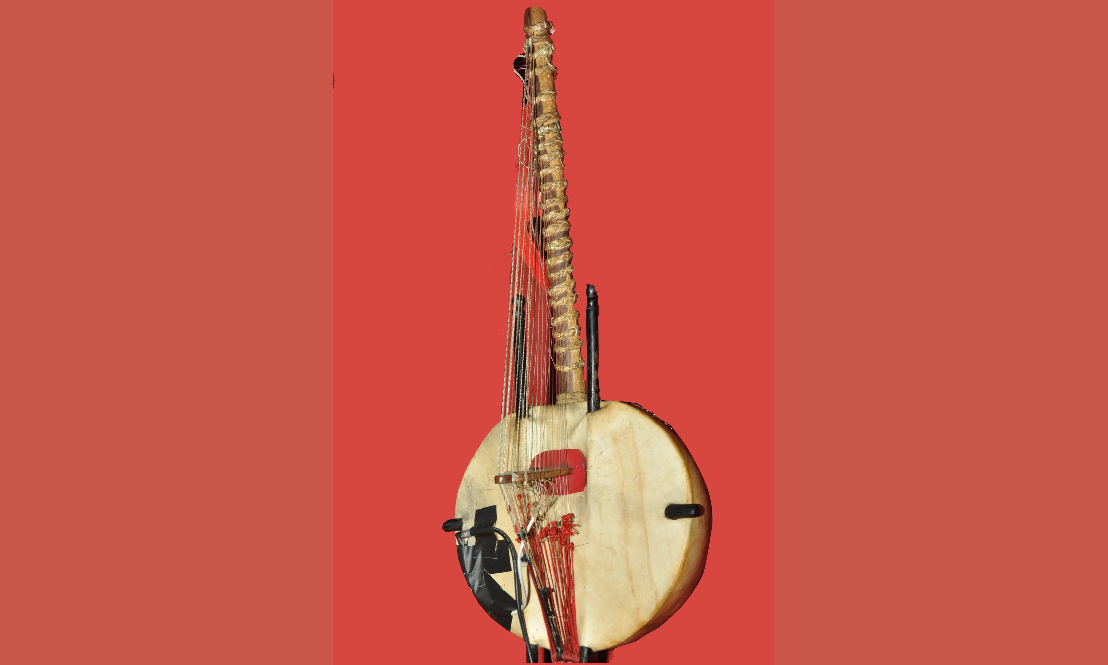 A kora instrument with its large calabash gourd body and 21 strings