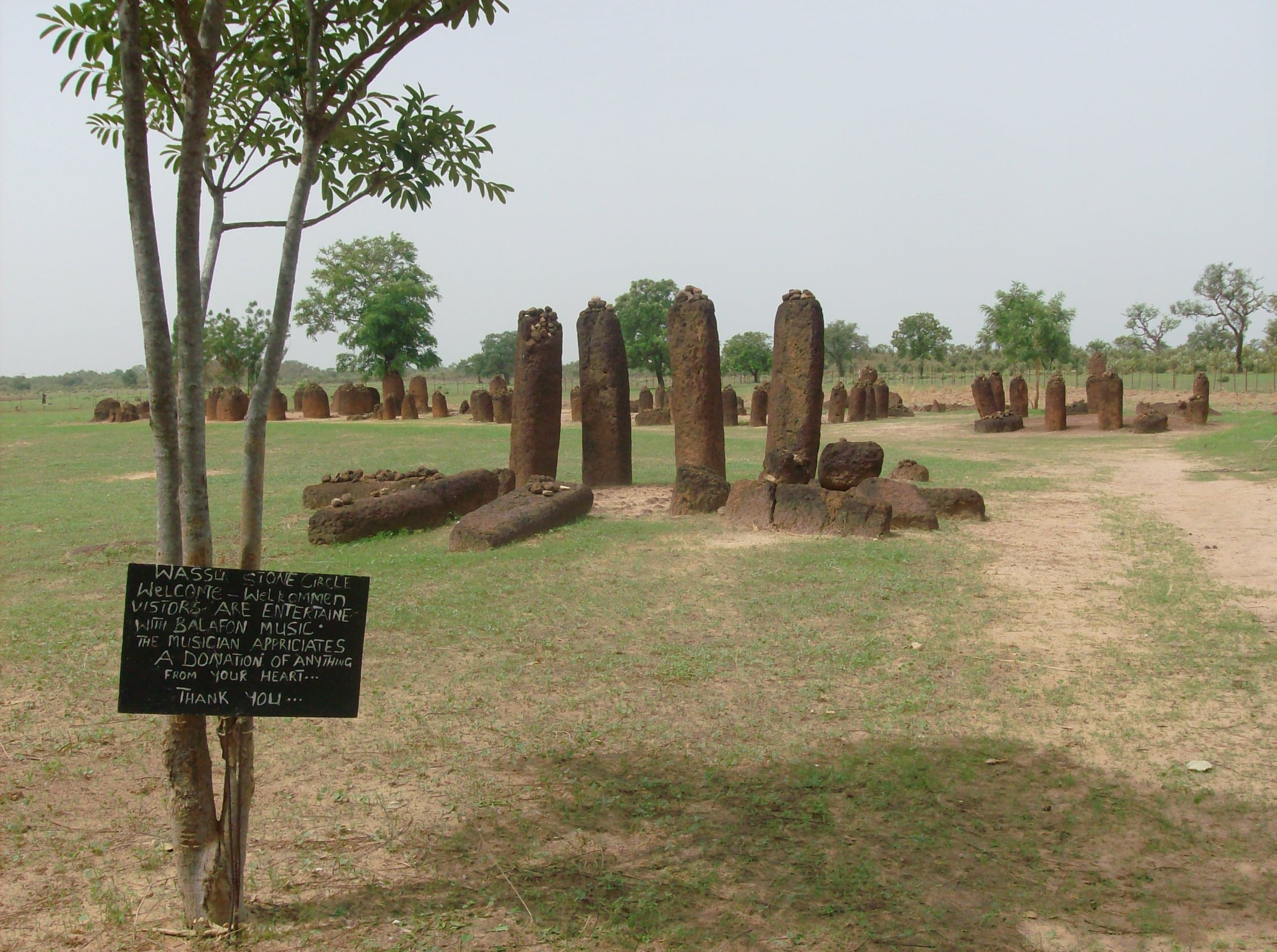 Rows of ancient laterite stone pillars standing in a grassy field