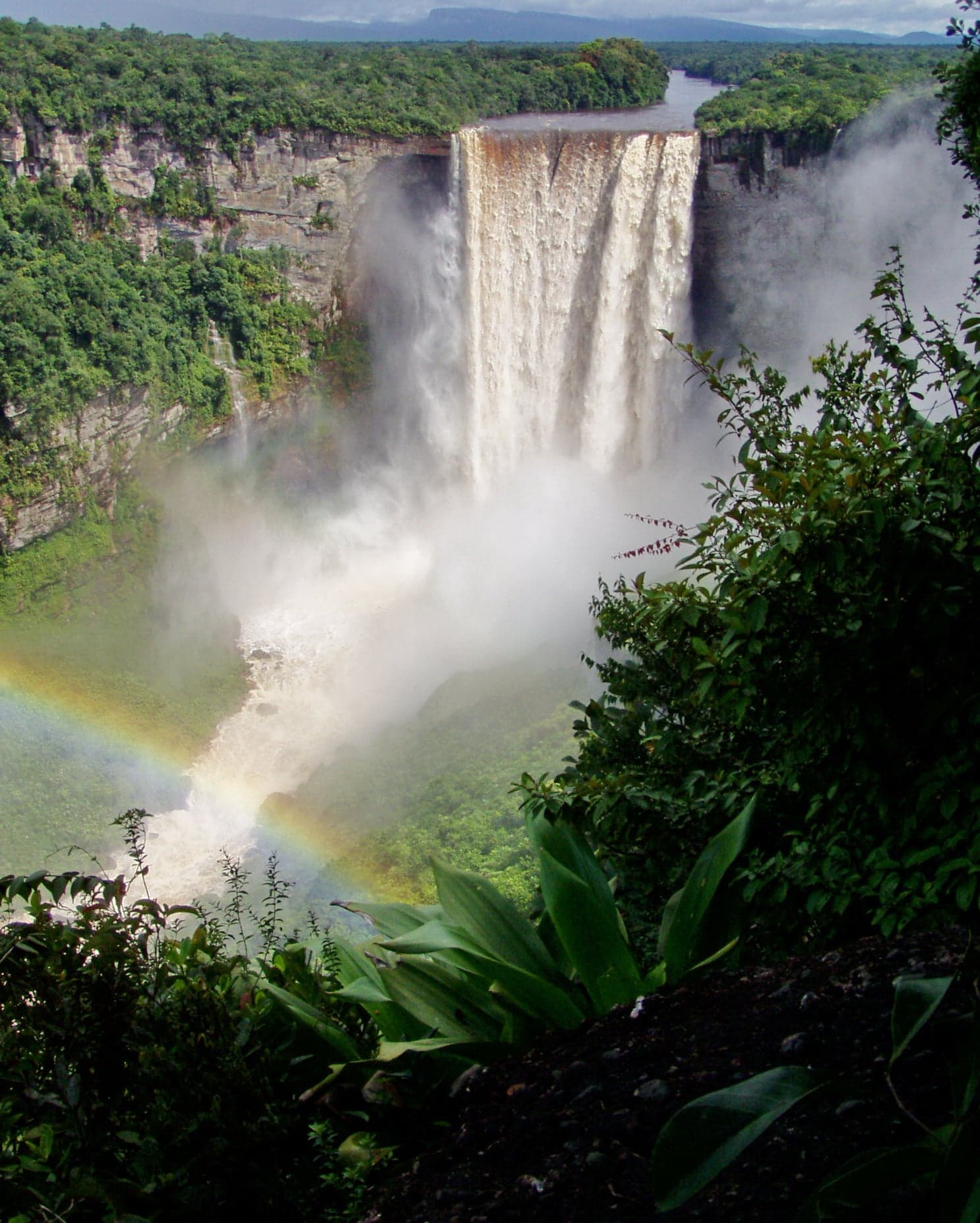 Kaieteur Falls plunging through dense rainforest in Guyana