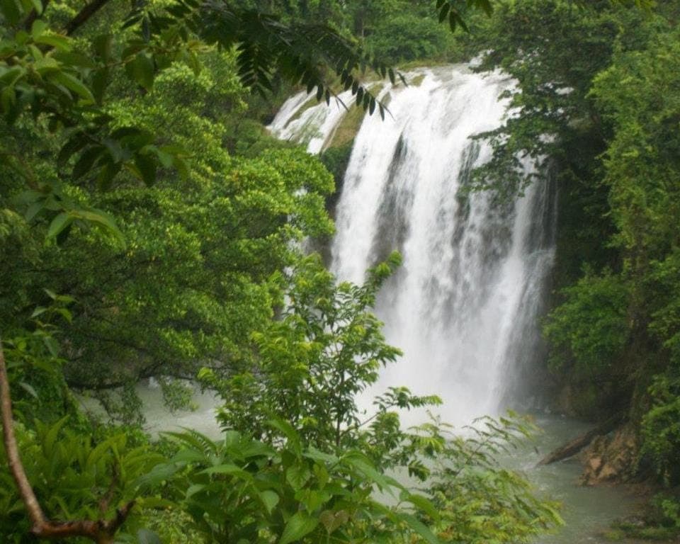Saut-Mathurine waterfall cascading into a river surrounded by tropical trees