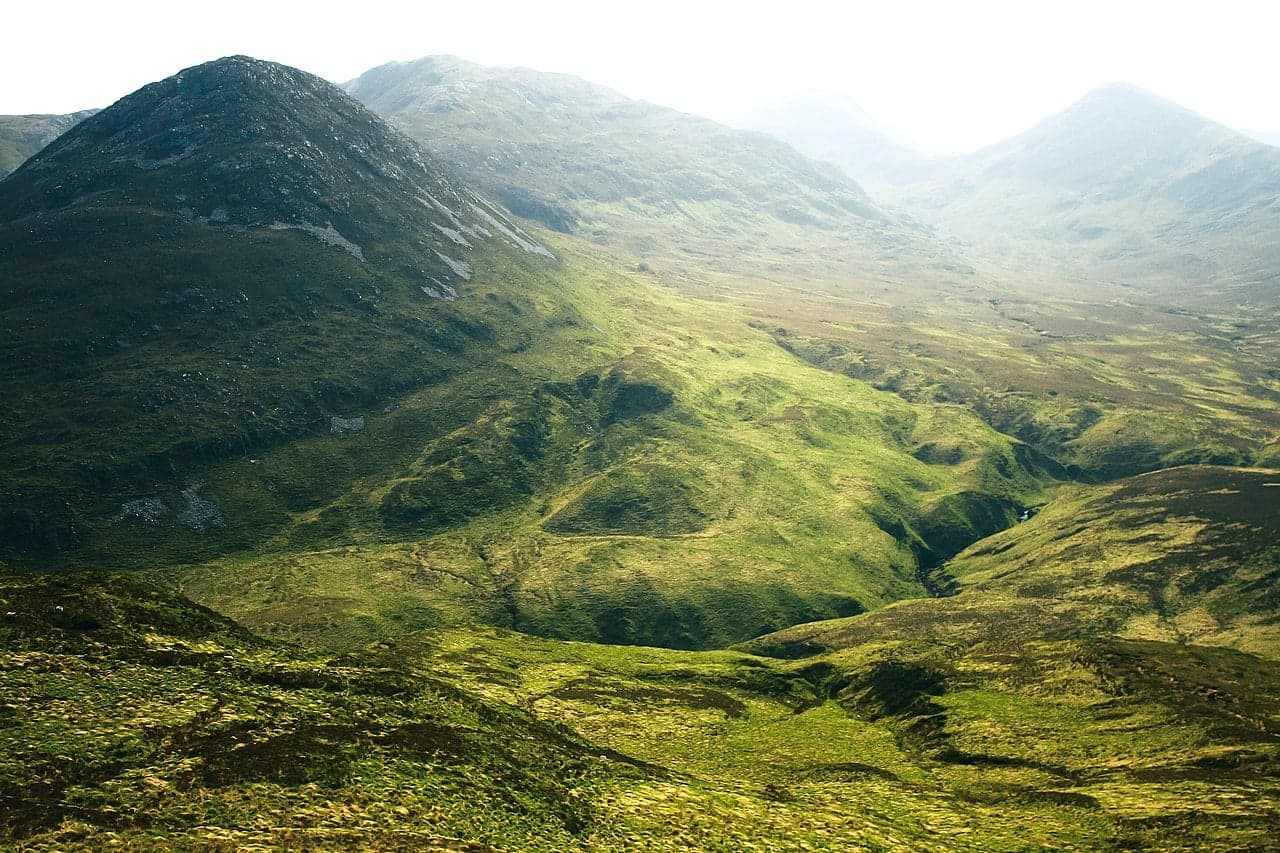 Rolling green Irish countryside with hedgerows and stone walls