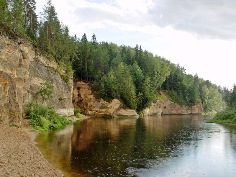 A forested valley with a river winding through it in Gauja National Park