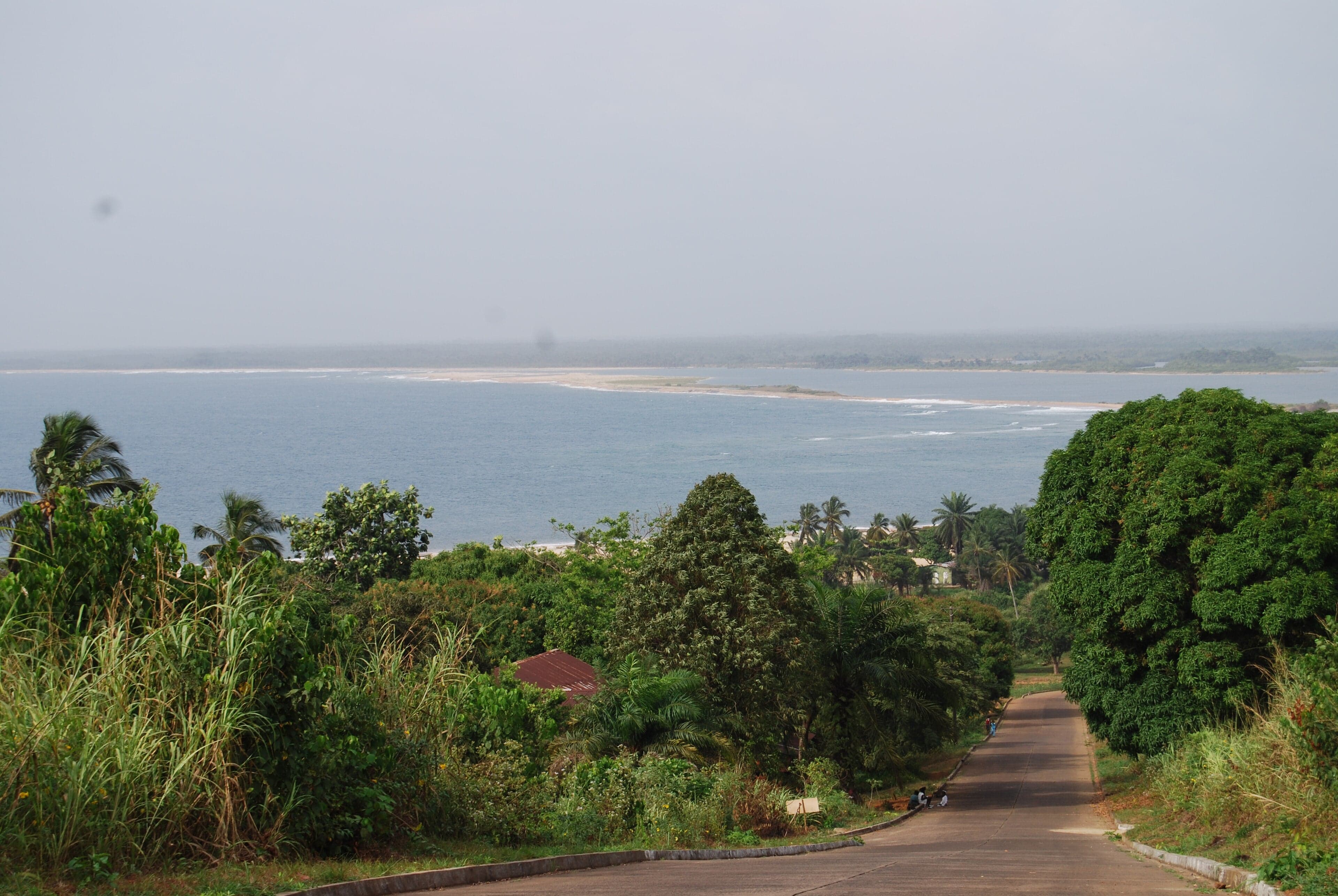 A surfer riding a wave on the golden beach at Robertsport, Liberia