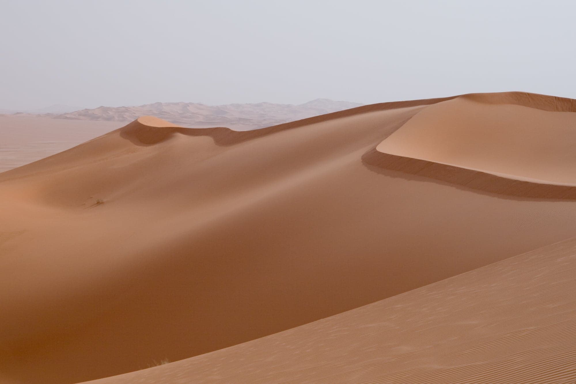 A turquoise lake edged with salt crystals and palm trees, surrounded by enormous sand dunes