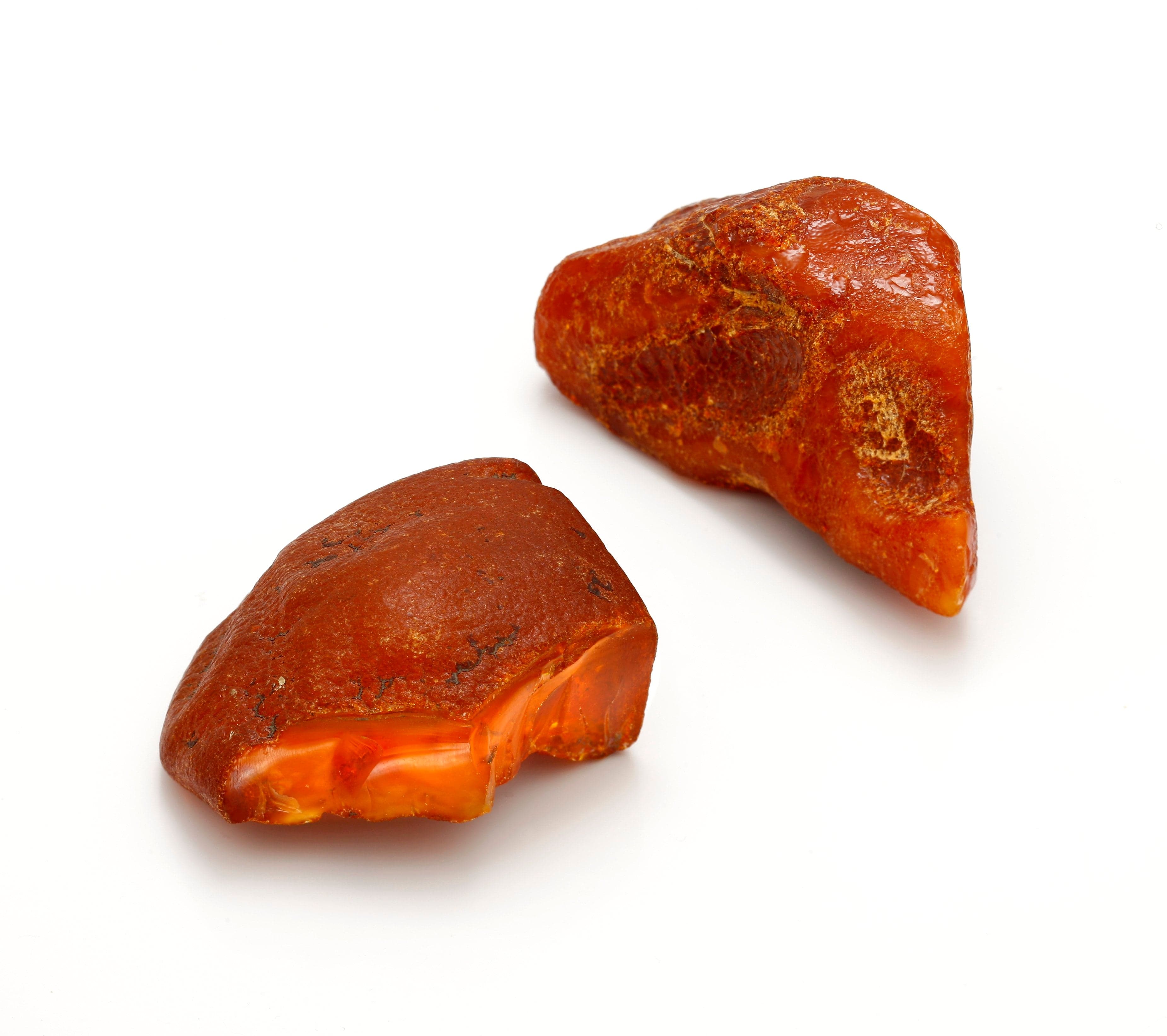 Pieces of warm golden Baltic amber on a wooden surface, some with insects trapped inside