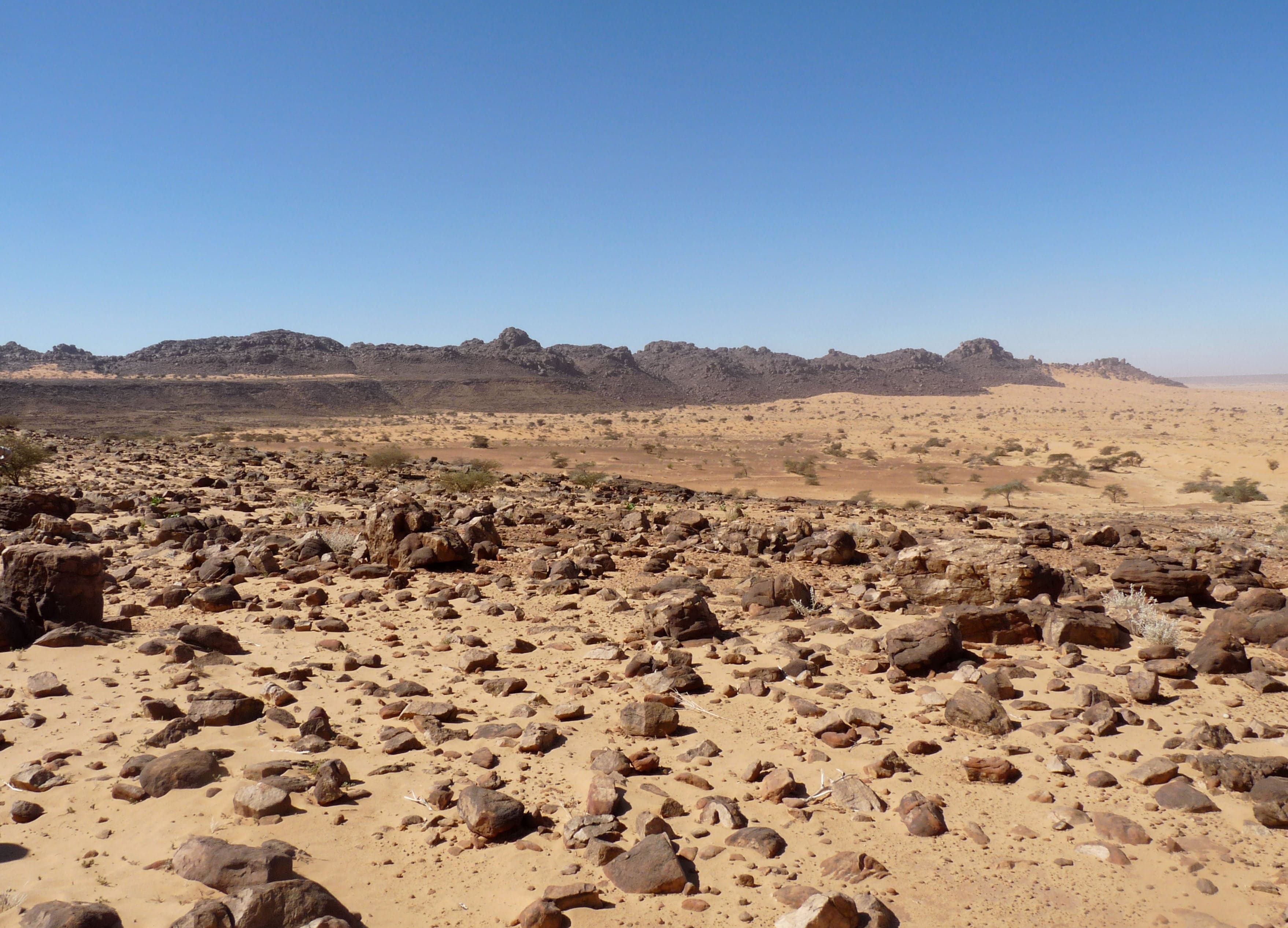 Red sandstone cliffs of the Adrar Plateau rising above a palm-fringed oasis valley