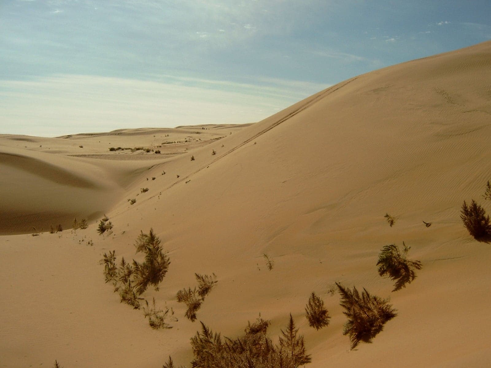 Sweeping orange sand dunes in the Gobi Desert under a blue sky