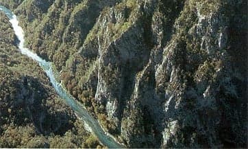 The turquoise Tara River winding far below through a sheer rocky canyon lined with forest
