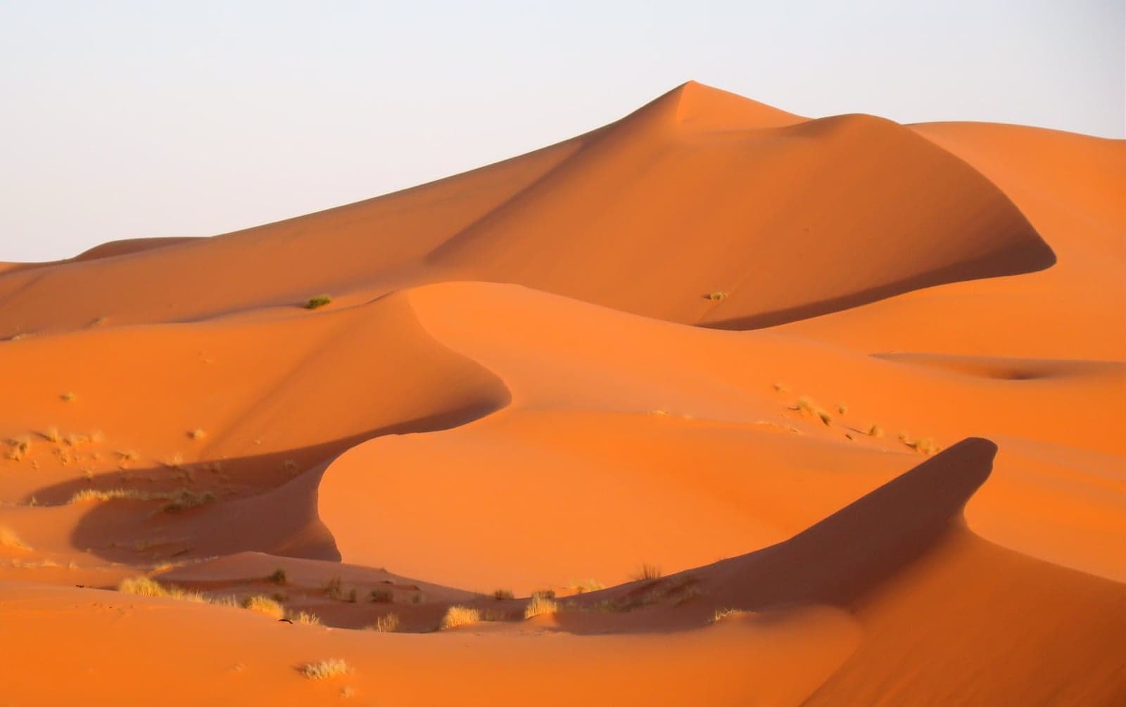 Tall golden sand dunes of Erg Chebbi in the Moroccan Sahara