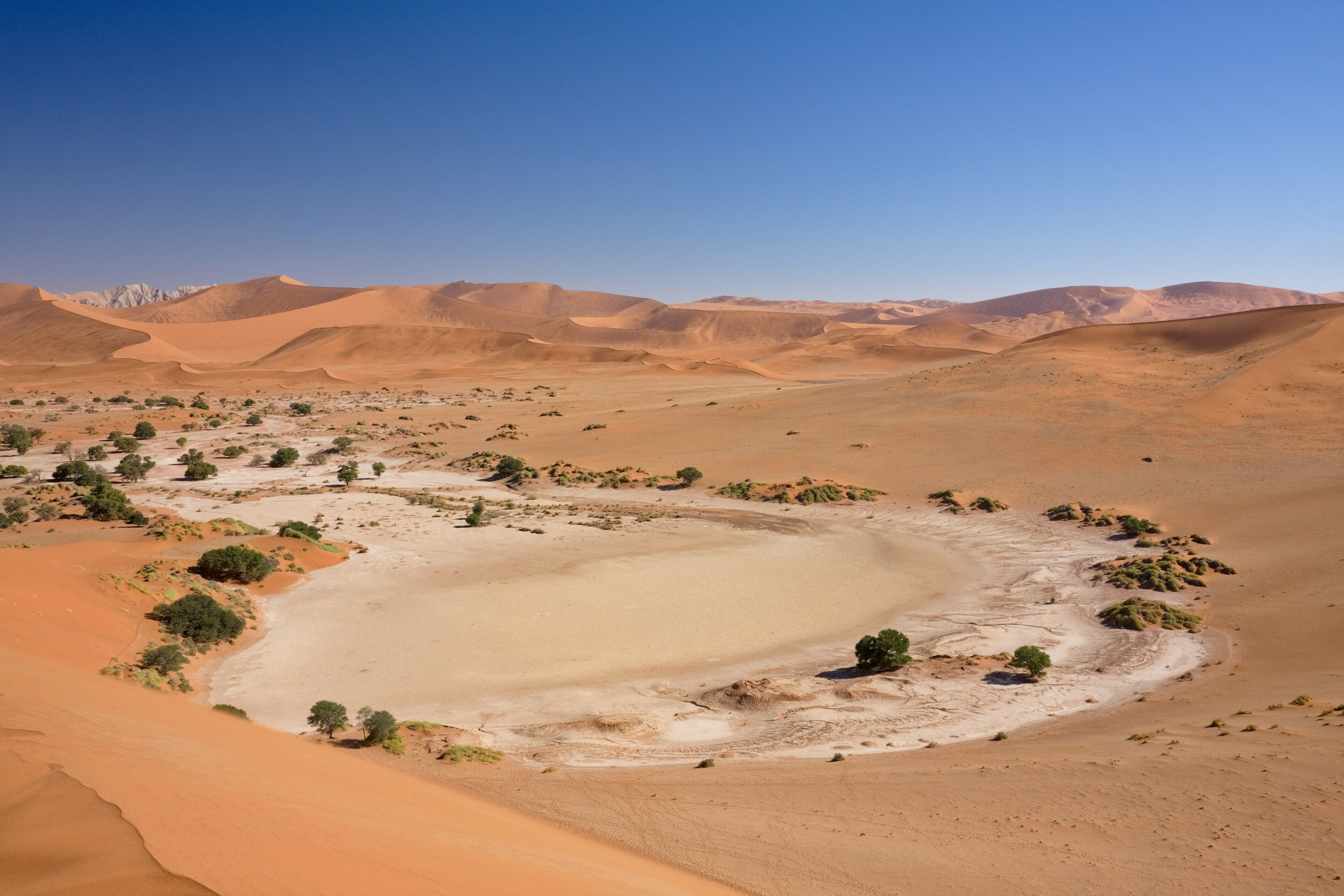 Towering red-orange sand dunes rise against a bright blue sky in Sossusvlei