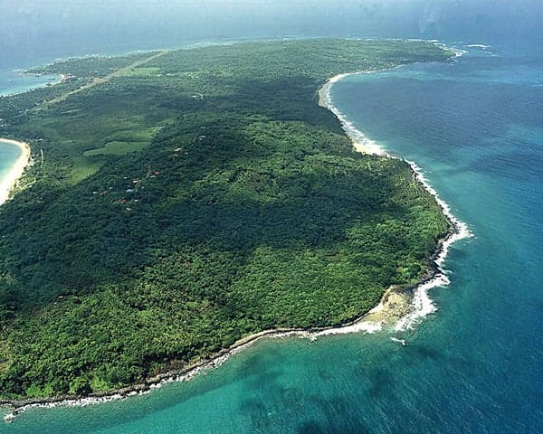 A white sand beach fringed with palm trees and clear turquoise Caribbean water