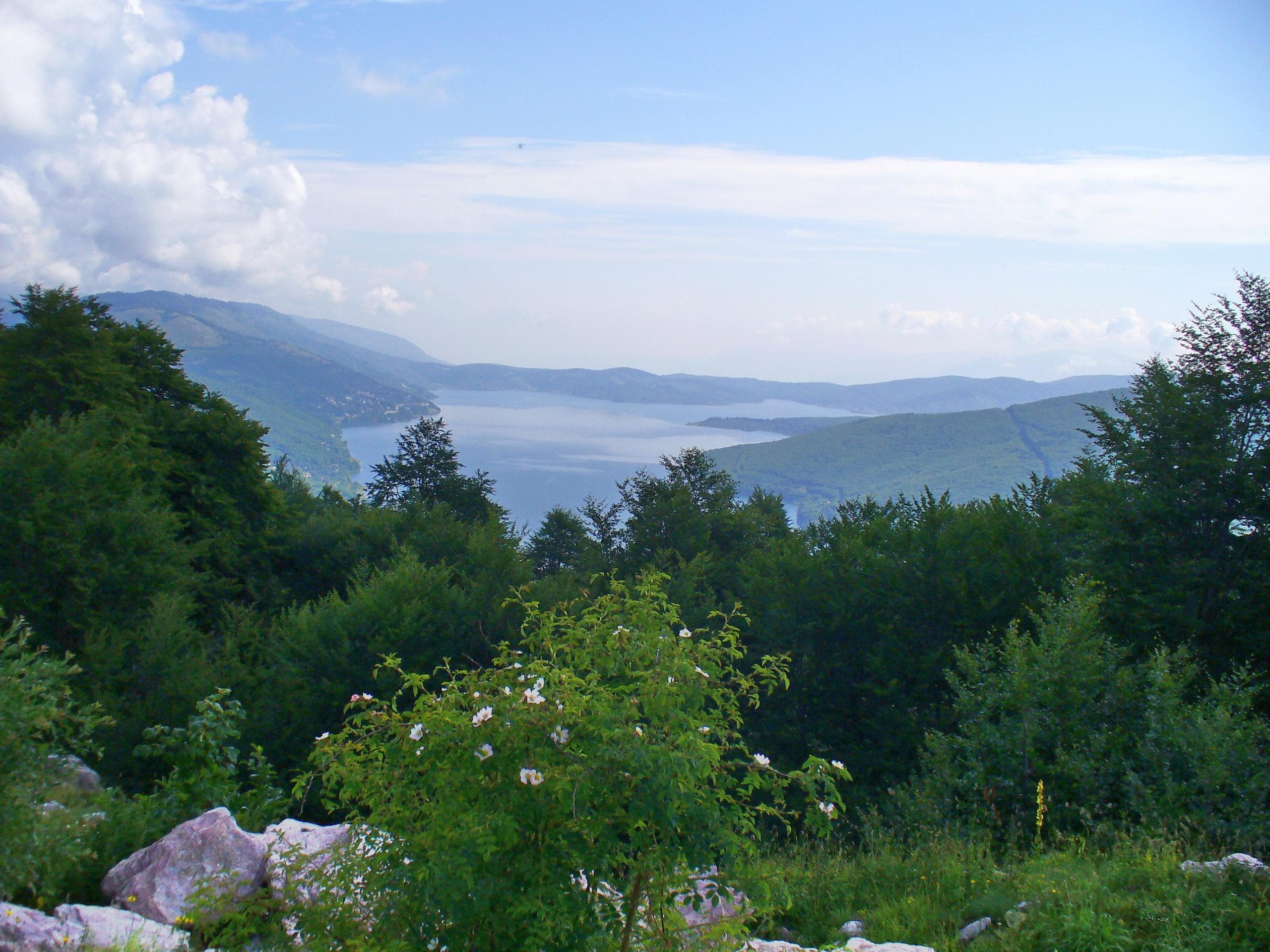 Snow-dusted pine forest and mountain peaks reflected in Mavrovo Lake