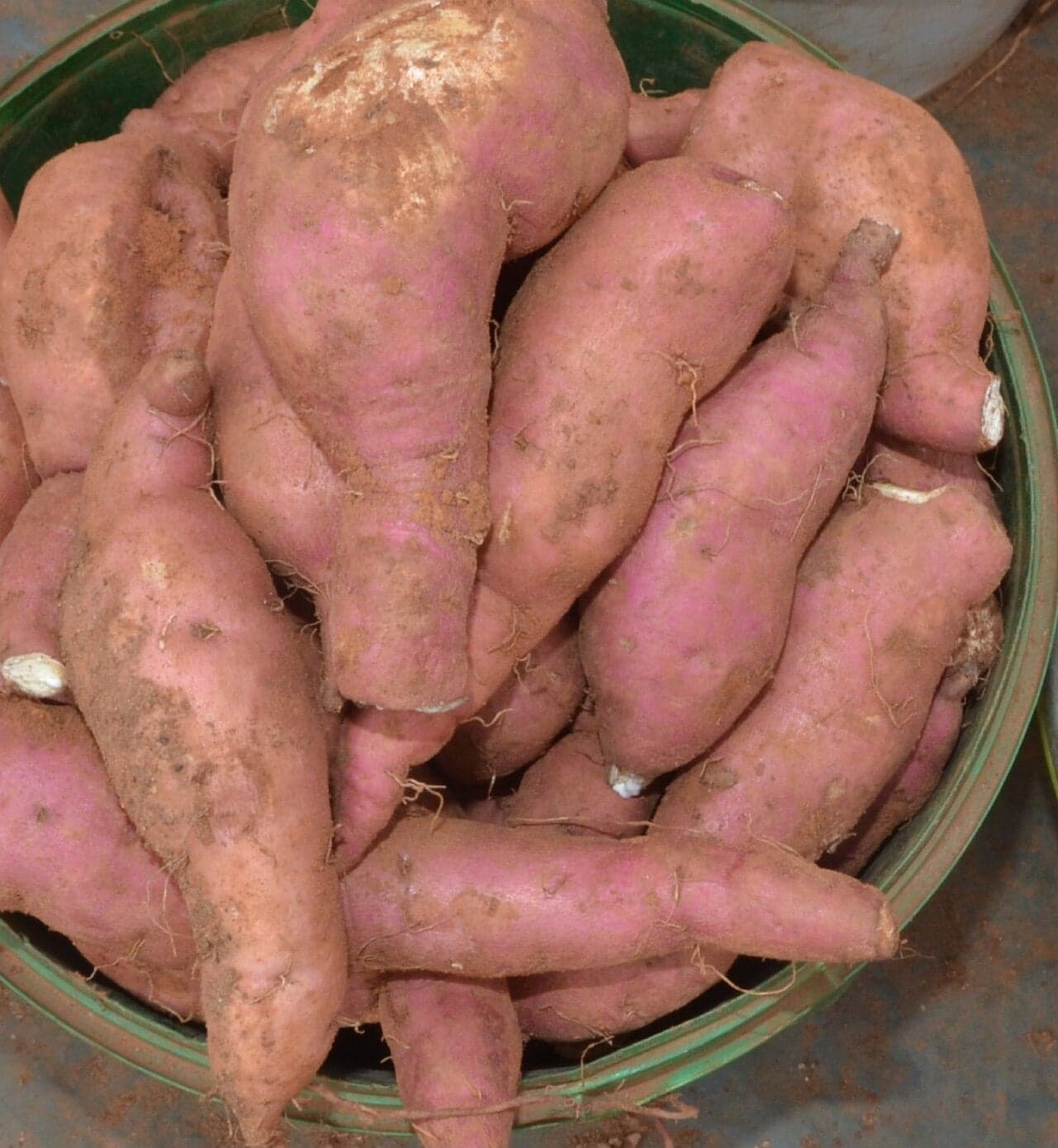 A pile of purple and orange kaukau sweet potatoes at a Papua New Guinea market