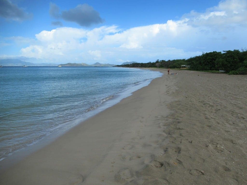 Palm trees leaning over a calm golden beach with turquoise water at Pinney's Beach, Nevis