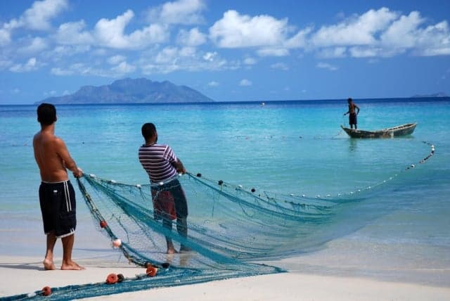 A small fishing boat tied up at a Seychelles beach with palm trees in the background