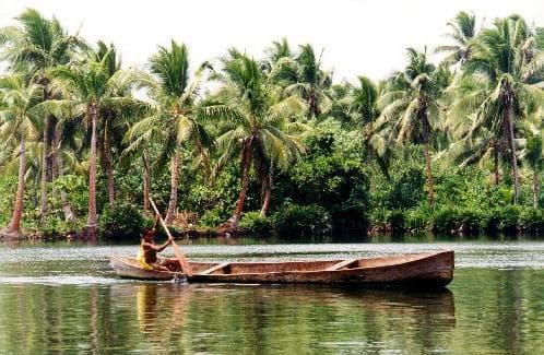 Lake Tegano on Rennell Island surrounded by dense forest