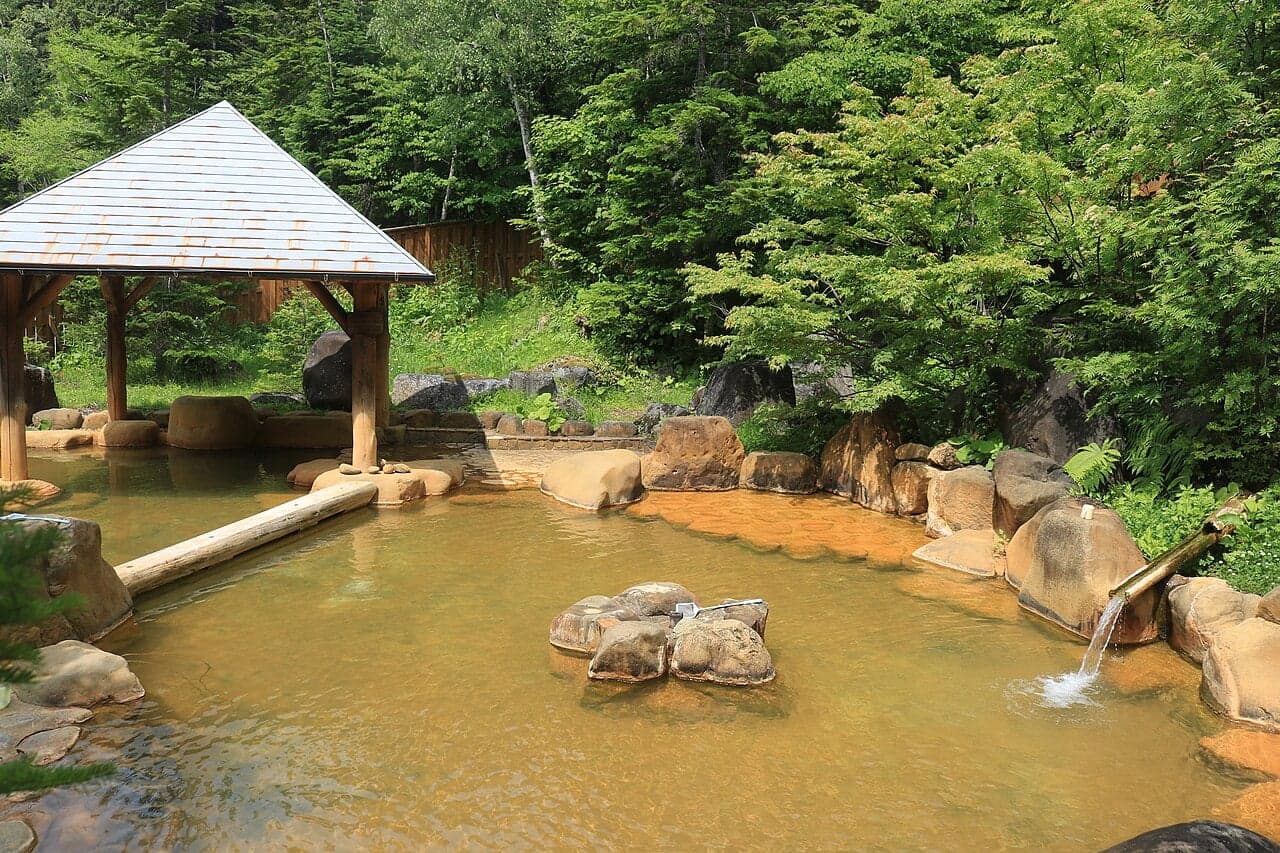 Steam rising from a stone hot spring pool surrounded by trees