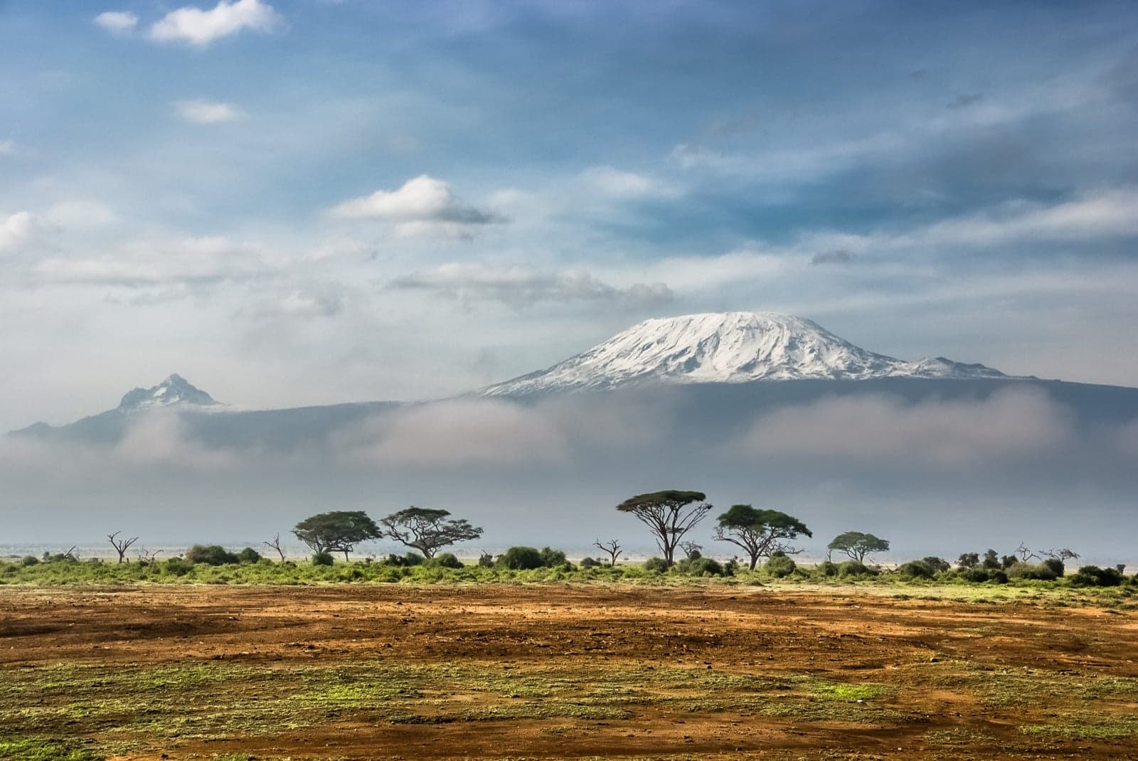 The snow-capped peak of Mount Kilimanjaro rising above the savannah