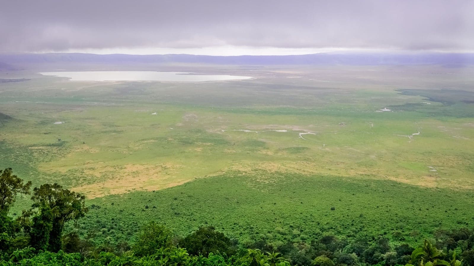 View down into the green floor of Ngorongoro Crater from the rim