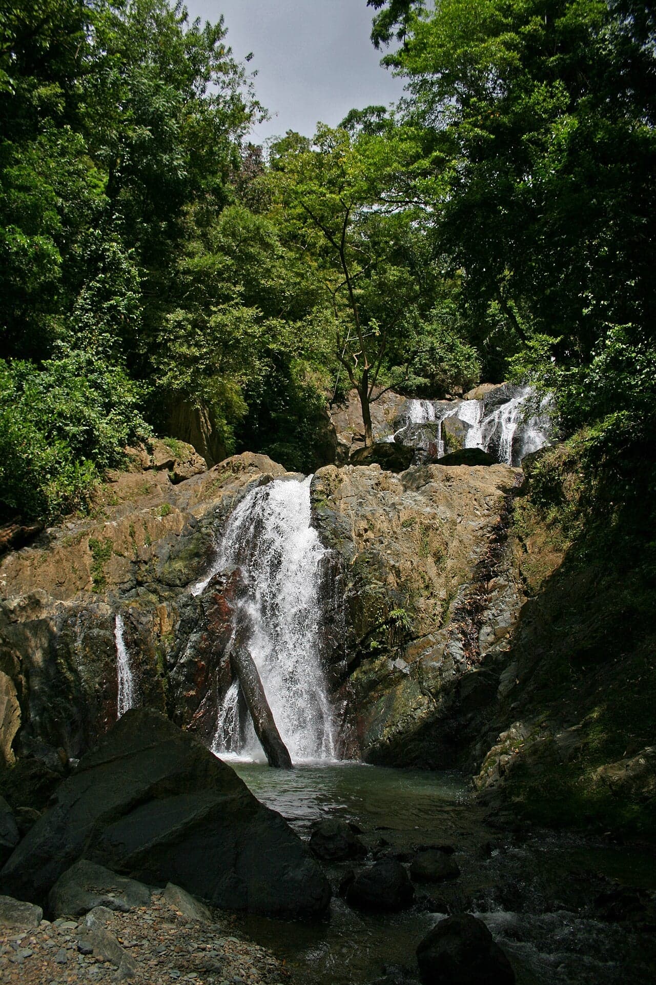 Argyle Falls cascading over rocks surrounded by green rainforest in Tobago