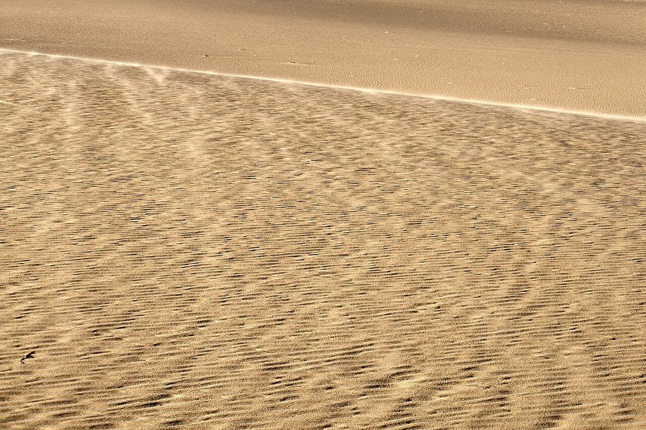 Golden sand dunes of the Tunisian Sahara stretching to the horizon under a blue sky