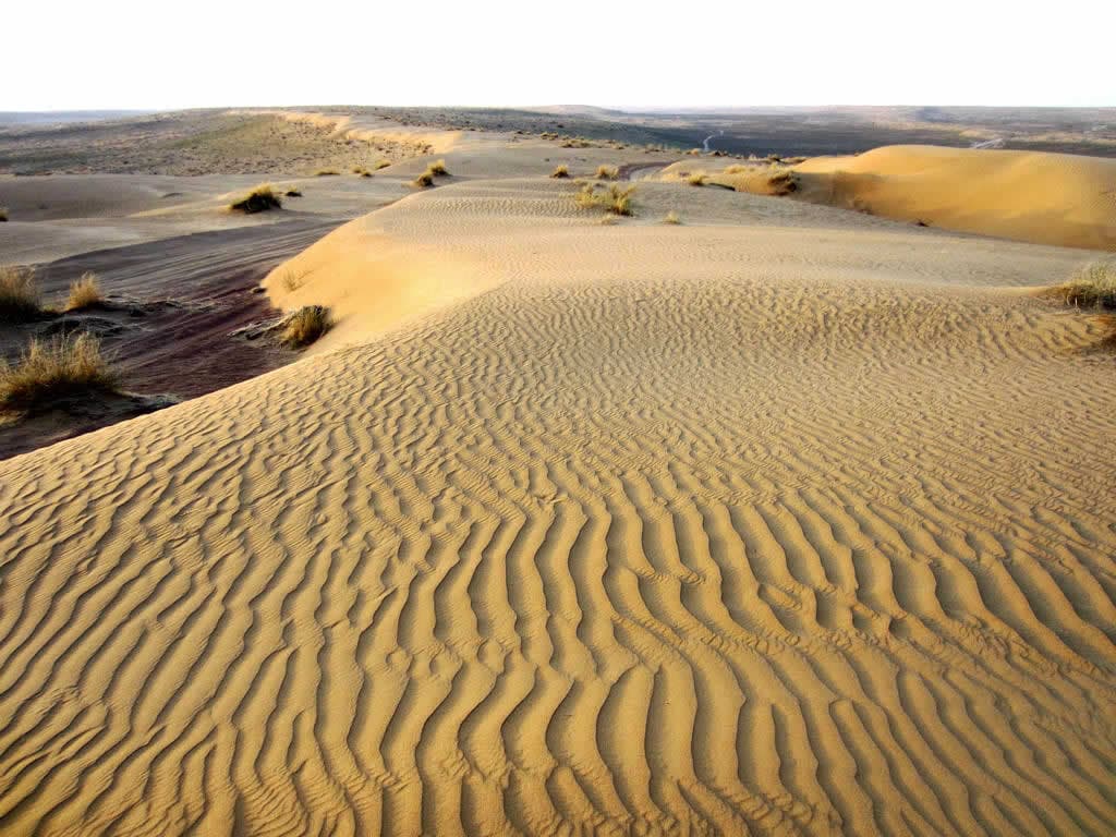 Vast golden sand dunes stretching to the horizon in the Karakum Desert