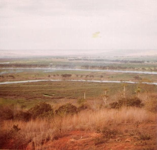 Elephants walking through golden savanna in Kissama National Park with the Atlantic in the distance