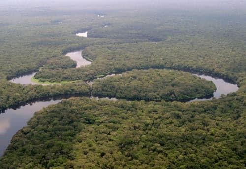 Vast green rainforest canopy of Salonga National Park seen from above