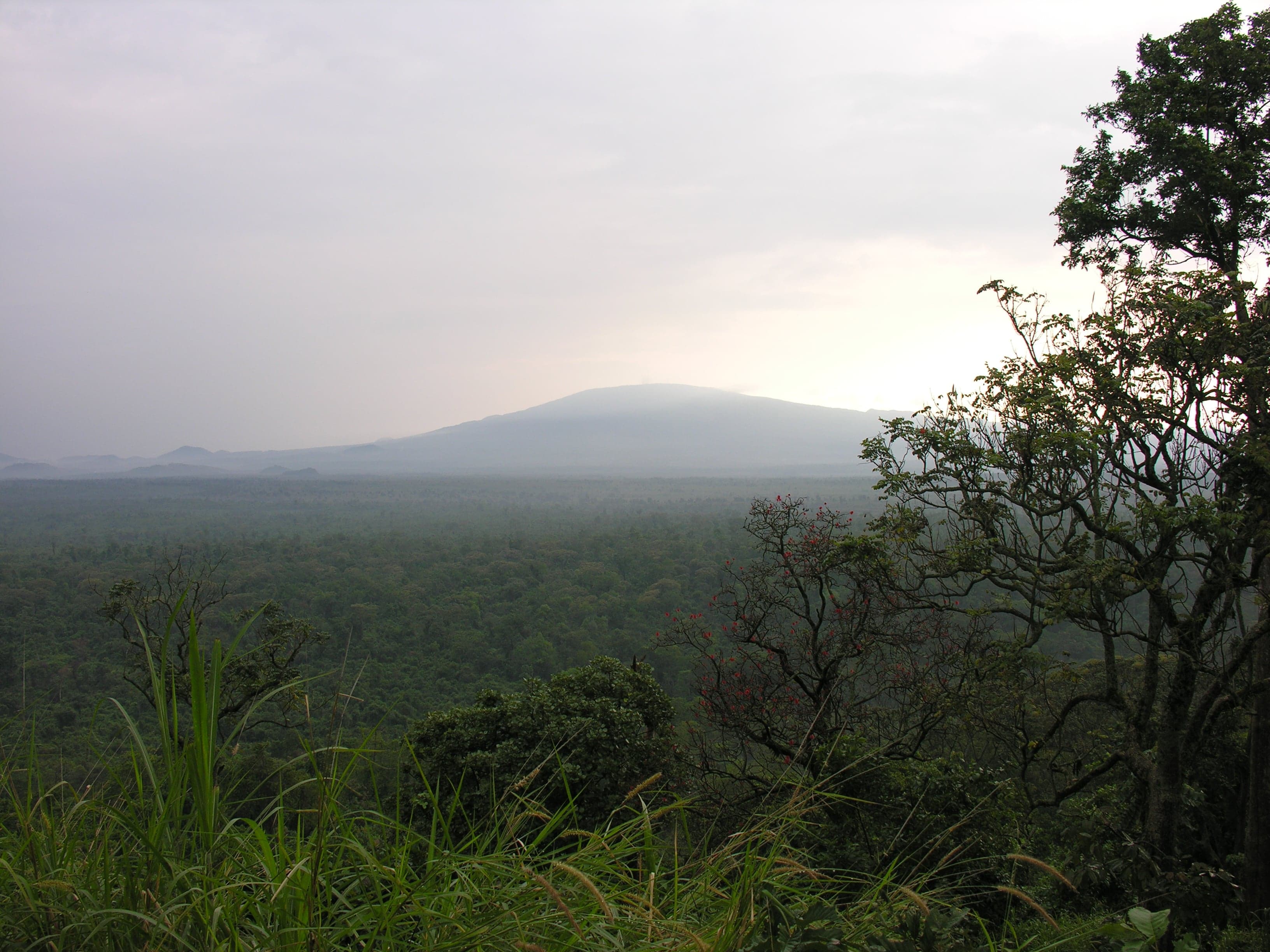Misty green mountains of Virunga National Park with jungle in the foreground