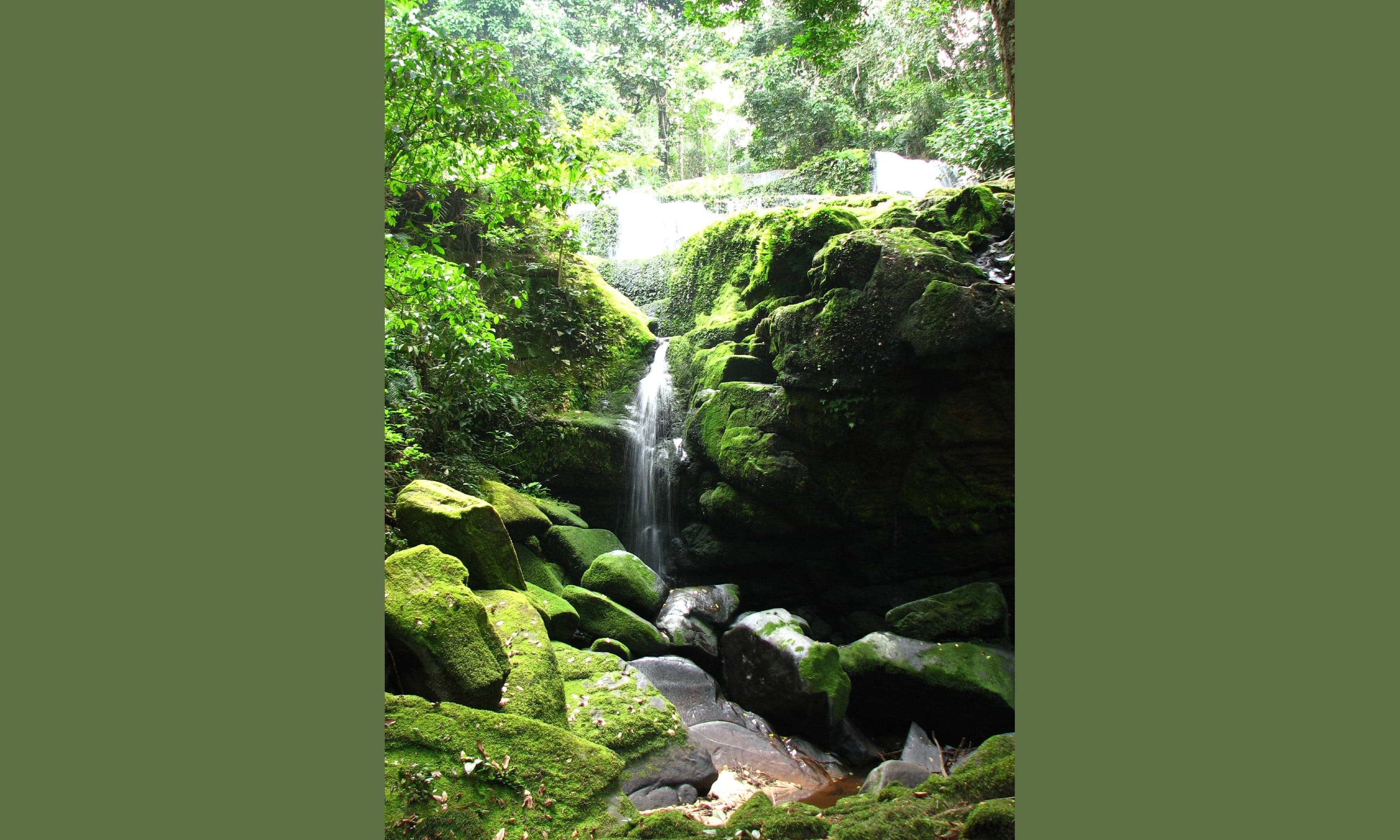 The wide white cascade of Kongou Falls on the Ivindo River surrounded by dense rainforest