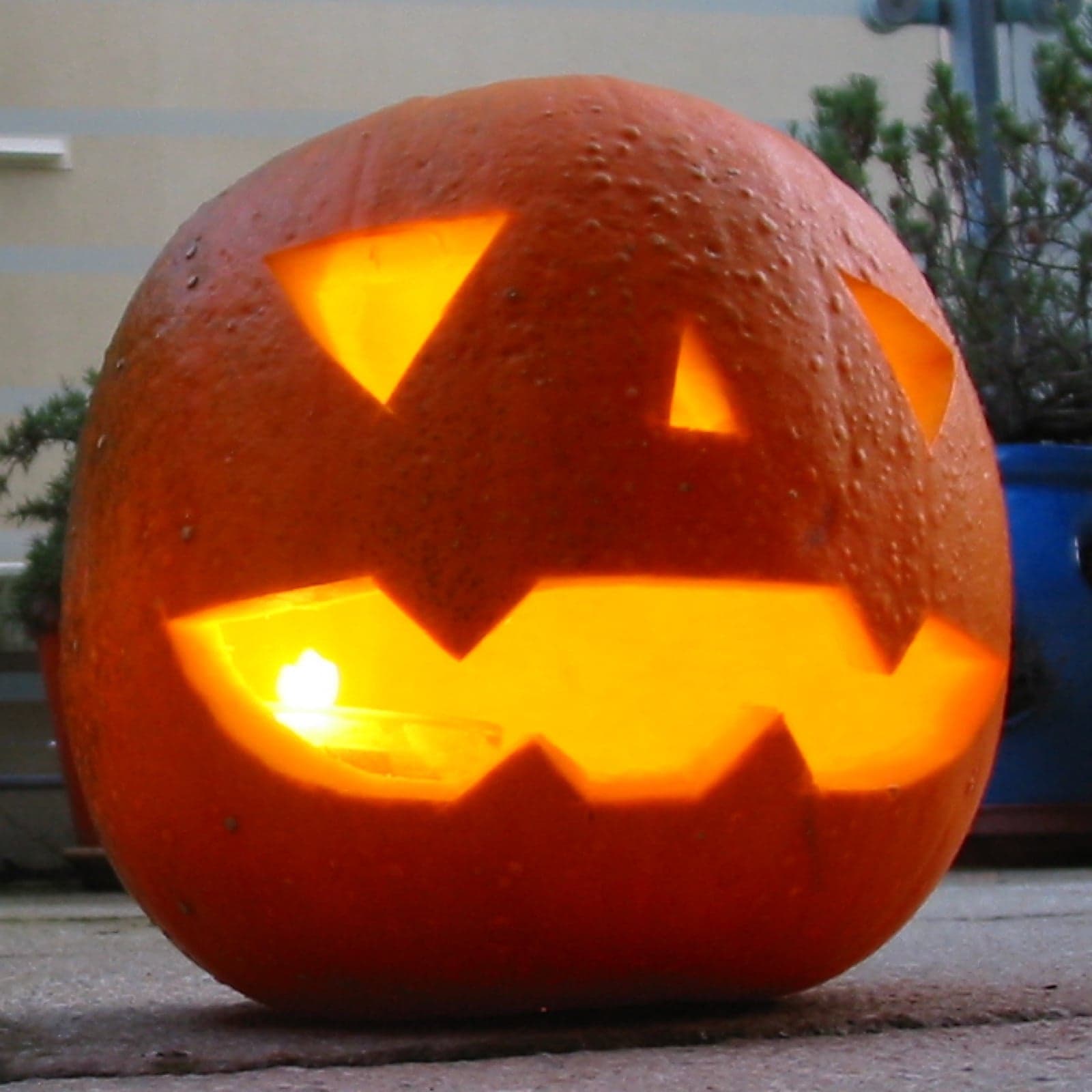 A carved turnip lantern, the original Irish Halloween jack-o'-lantern